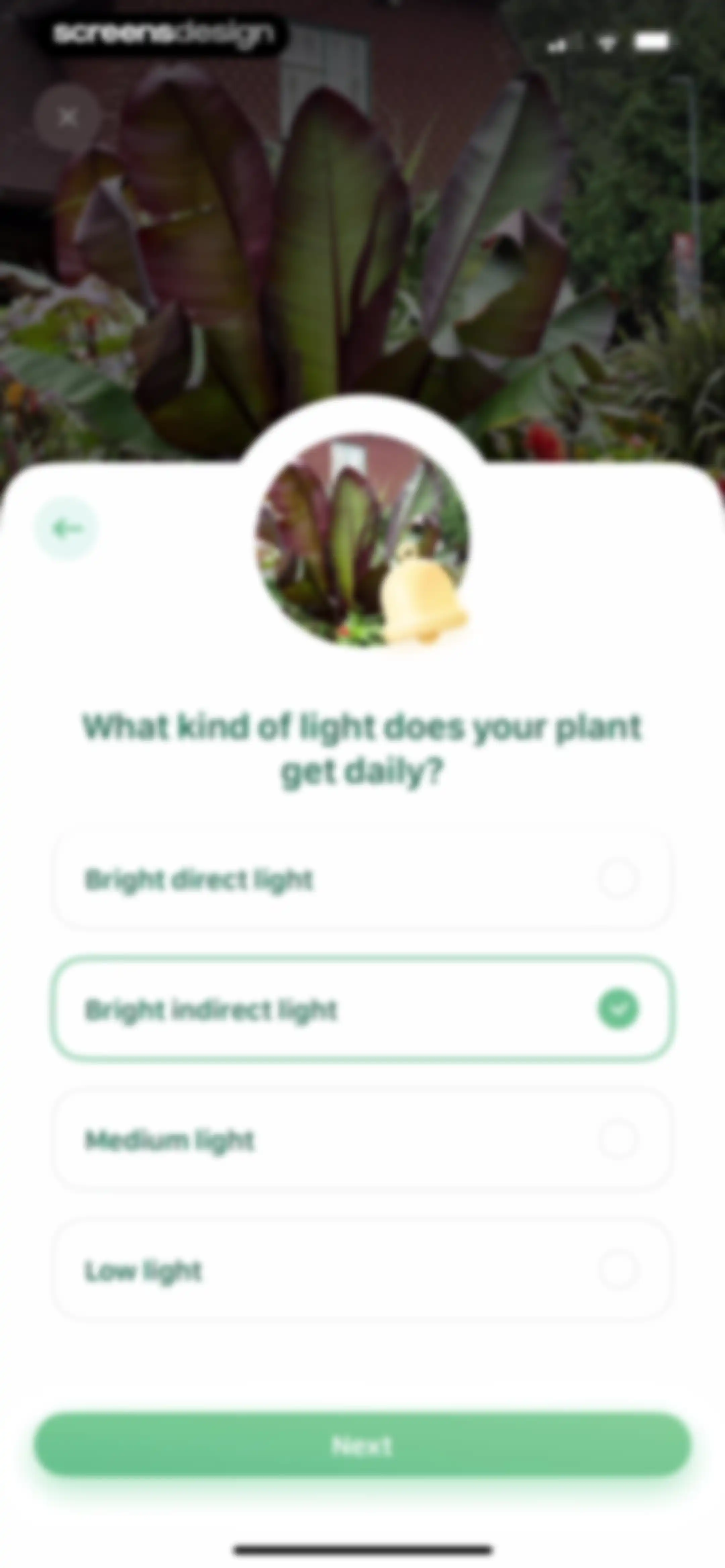 Blossom - Plant Care Guide screen 37