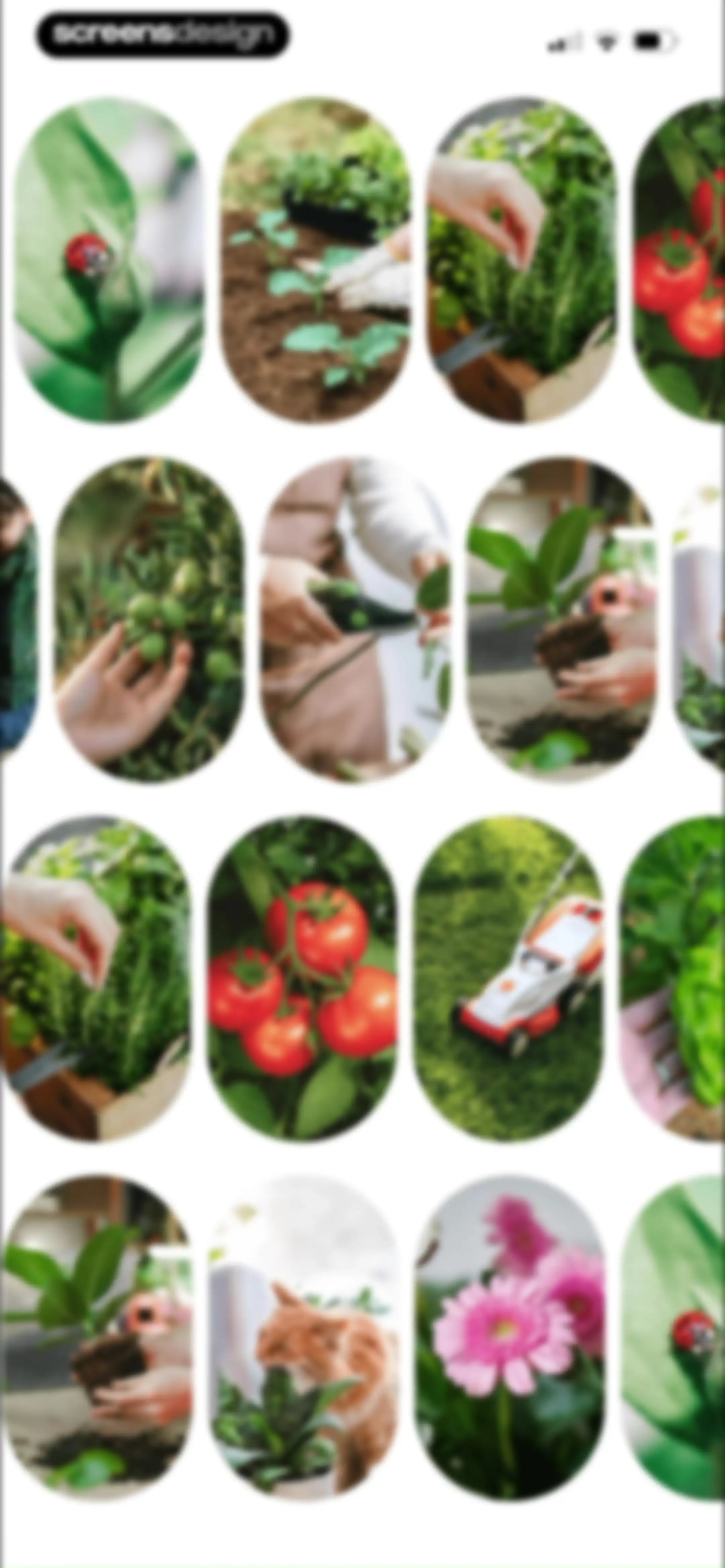 PlantAI: Identifier & Diagnose screen 8