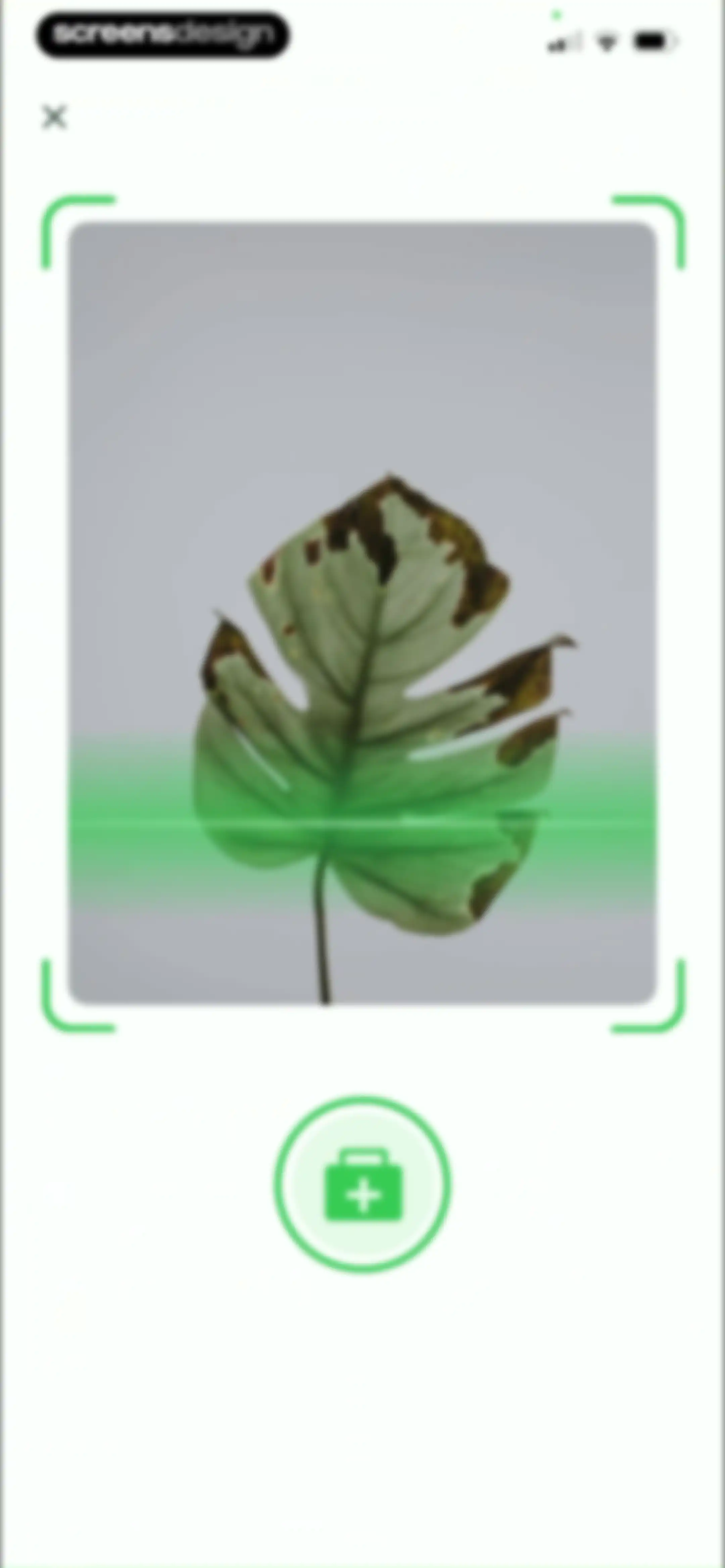 Plant Identifier & Plant Care. screen 63