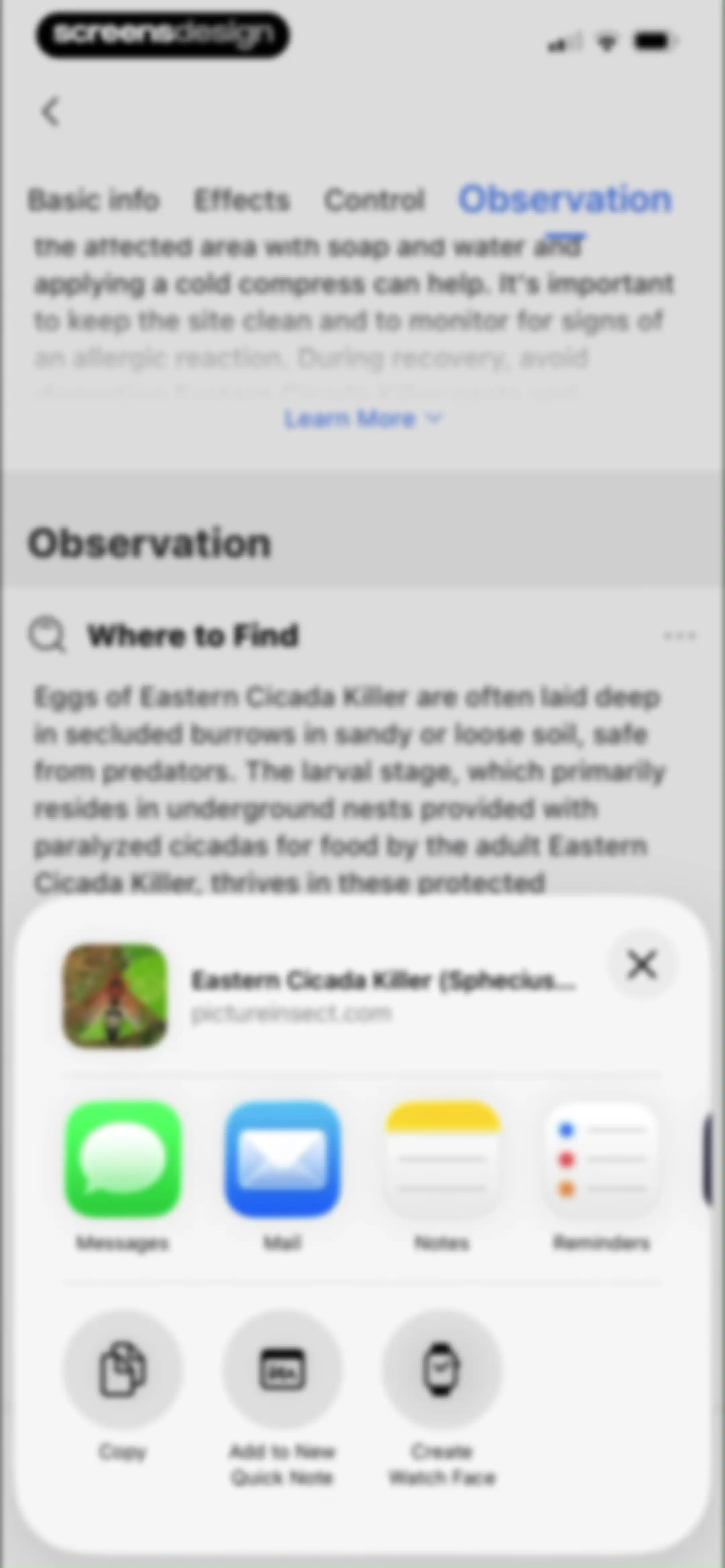 Picture Insect: Bug Identifier screen 34