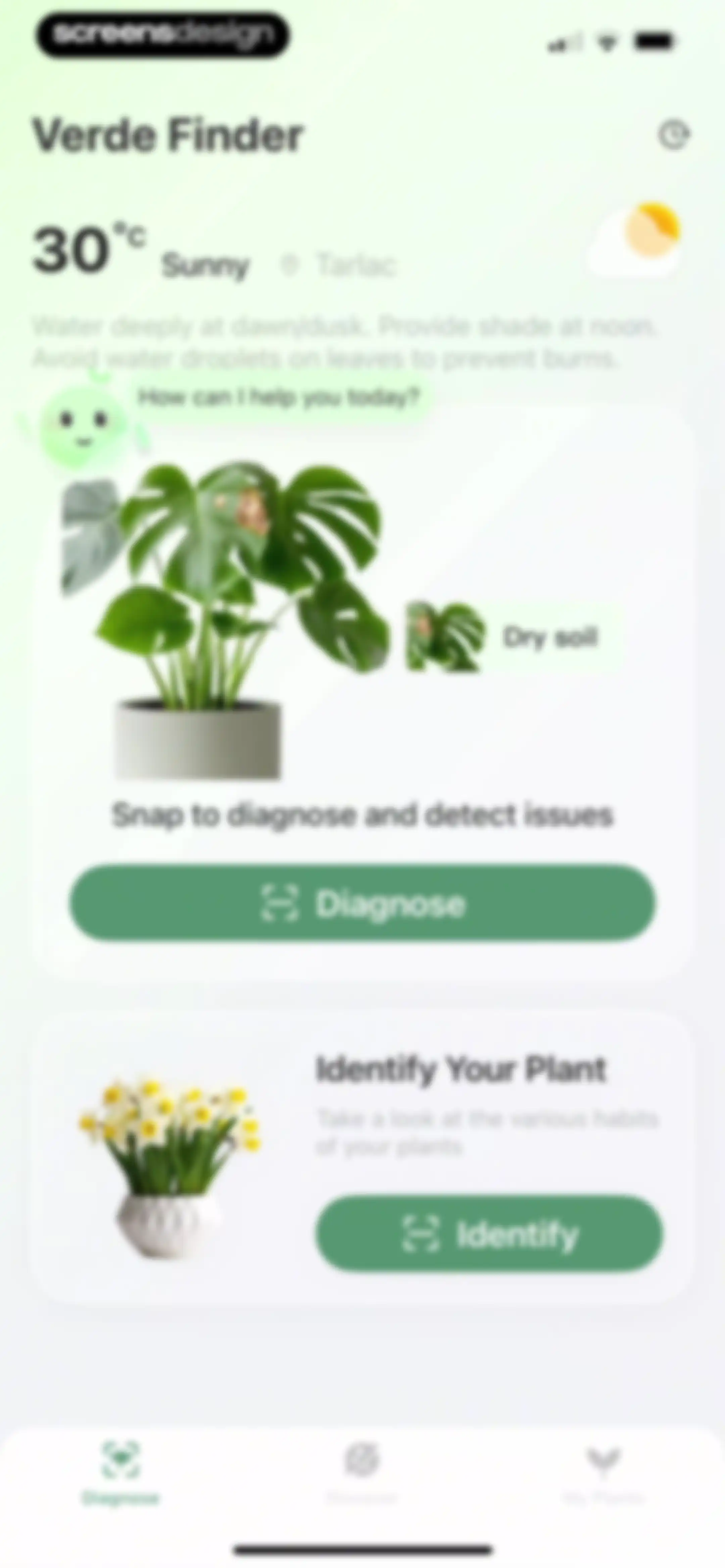 Verde Finder : identify plants screen 12