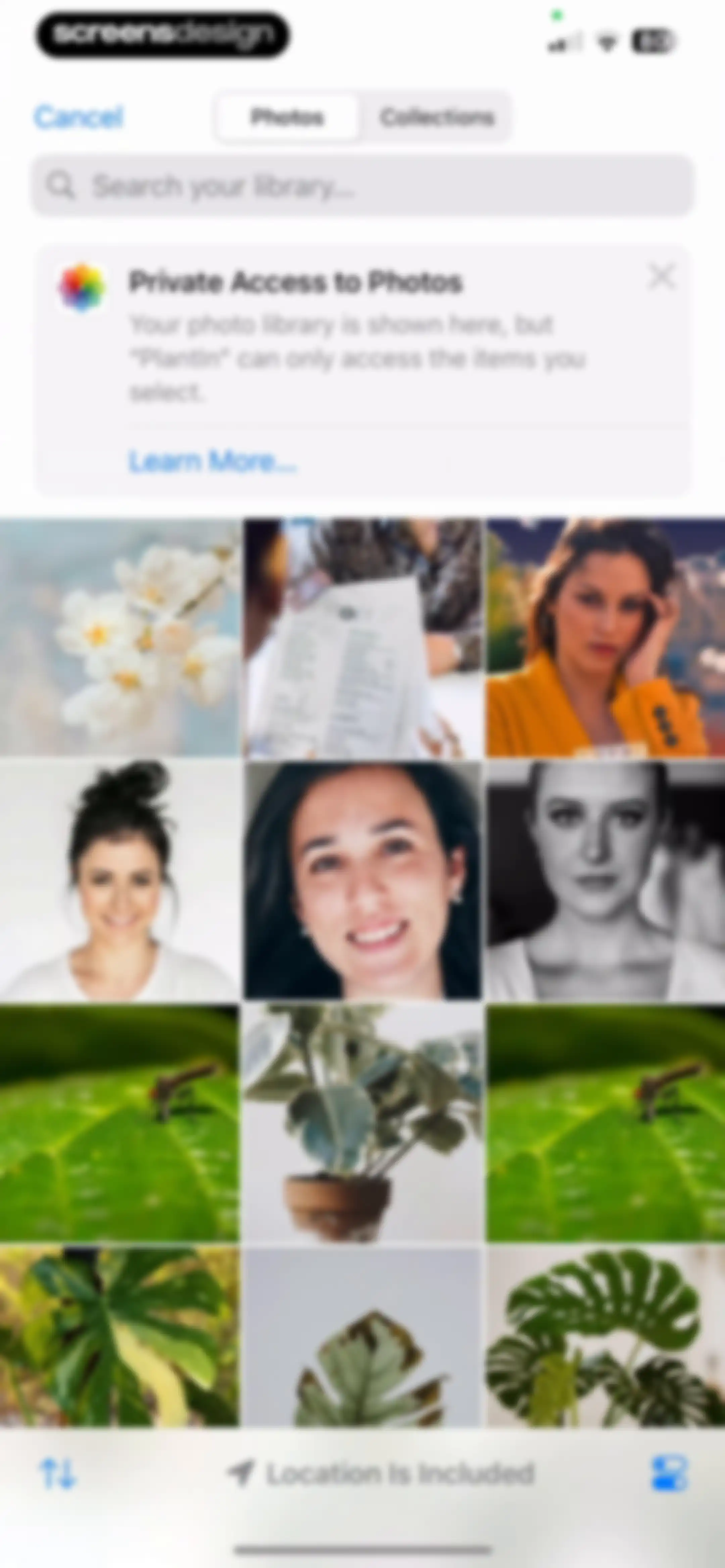 PlantIn: Plant Identifier・Care screen 144