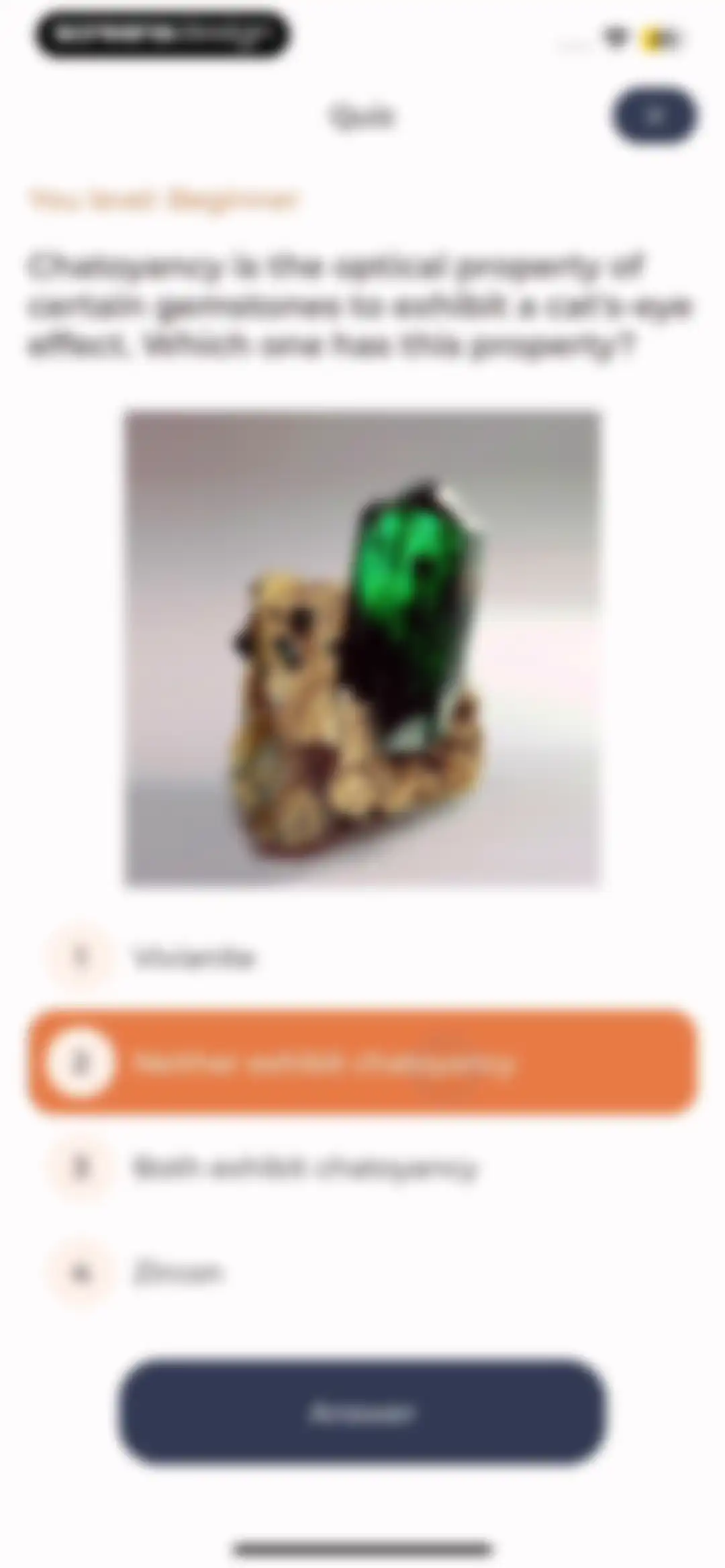 Stone Identifier: Rock Scanner screen 45