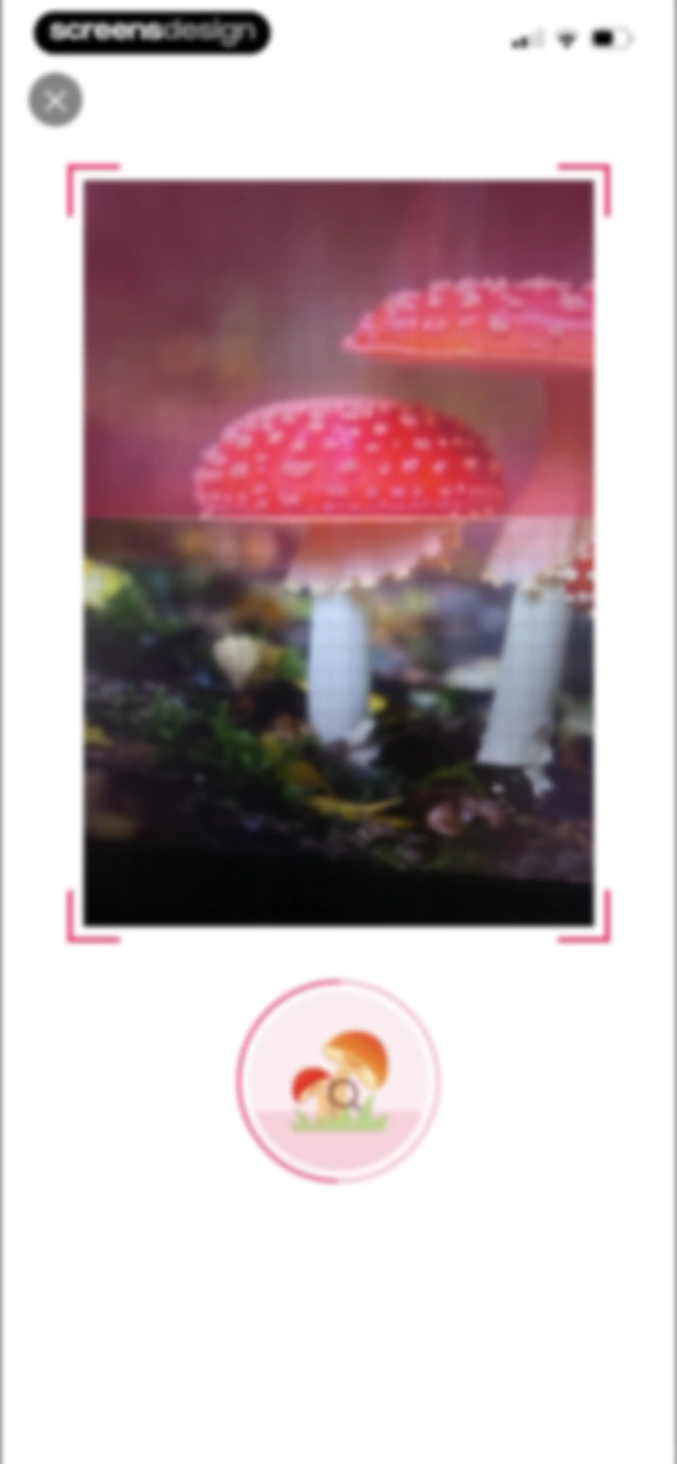 Picture Mushroom: Identifier screen 23