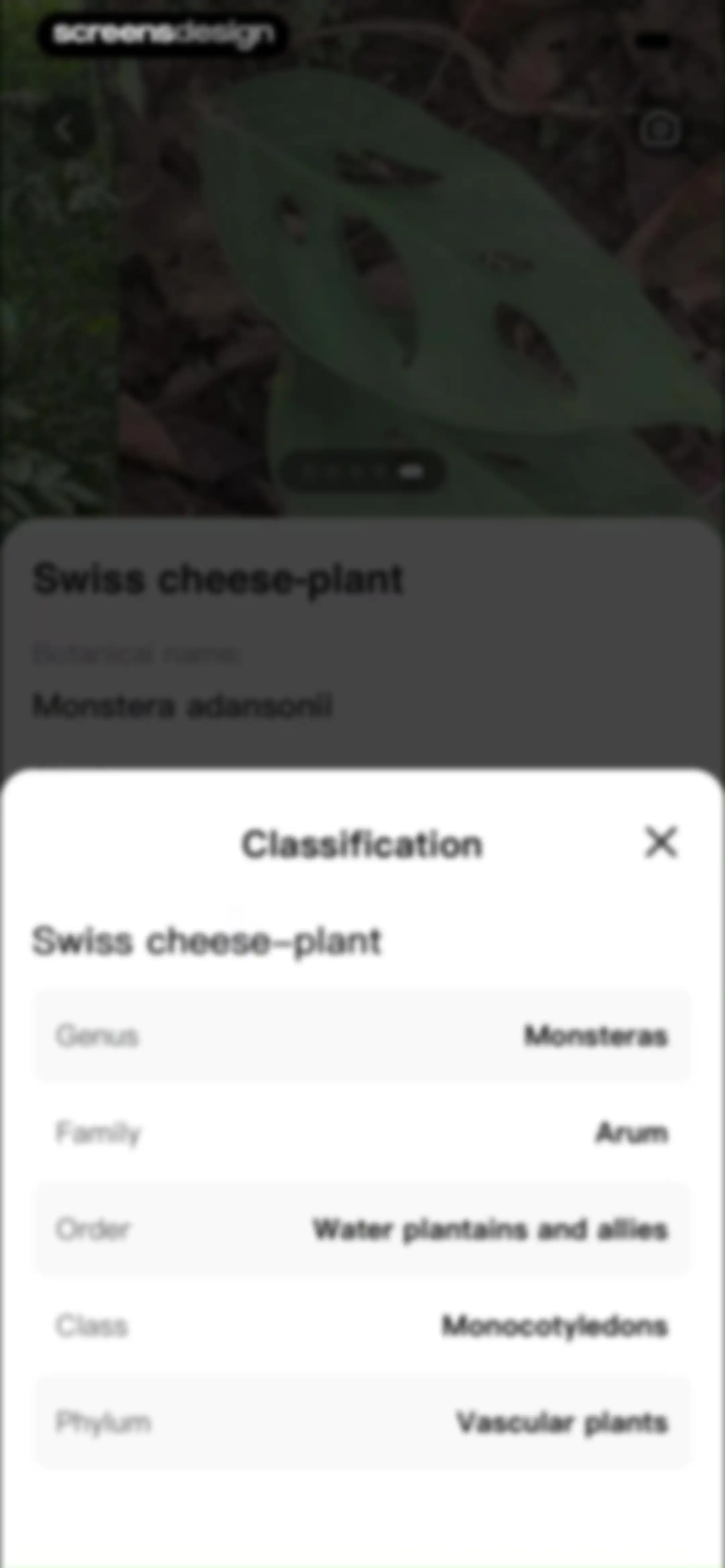 PlantLush: Plant ID & Care Pro screen 50