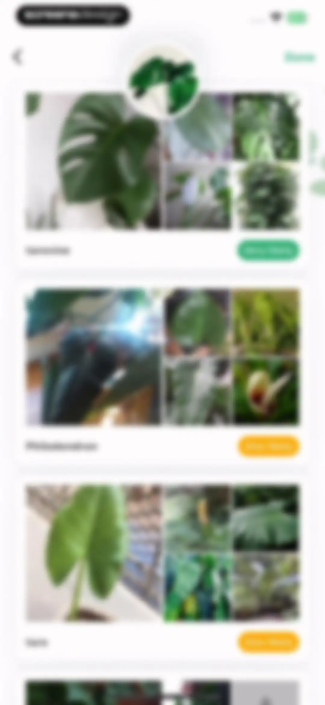 Plant Identification ++ screen 9