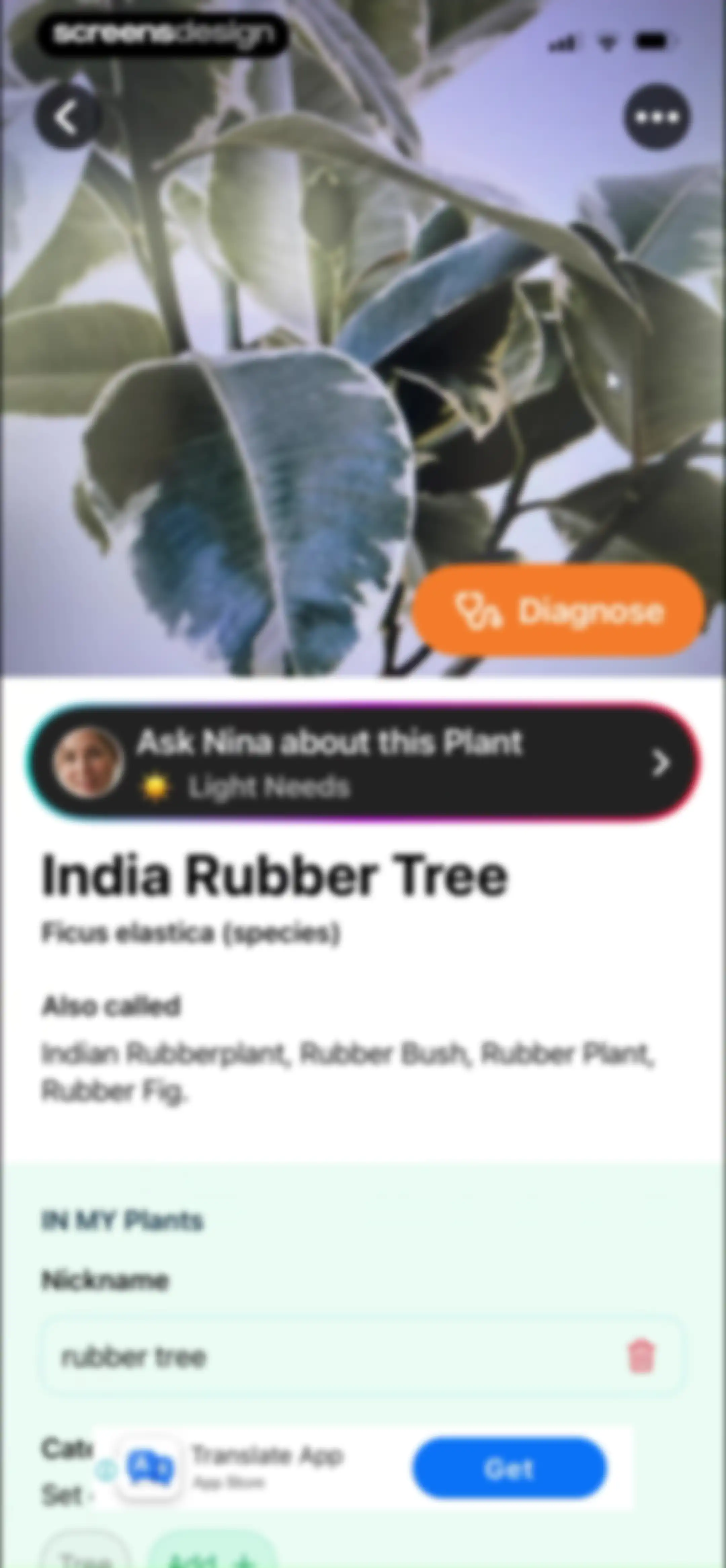 Free Plant Identifier screen 44