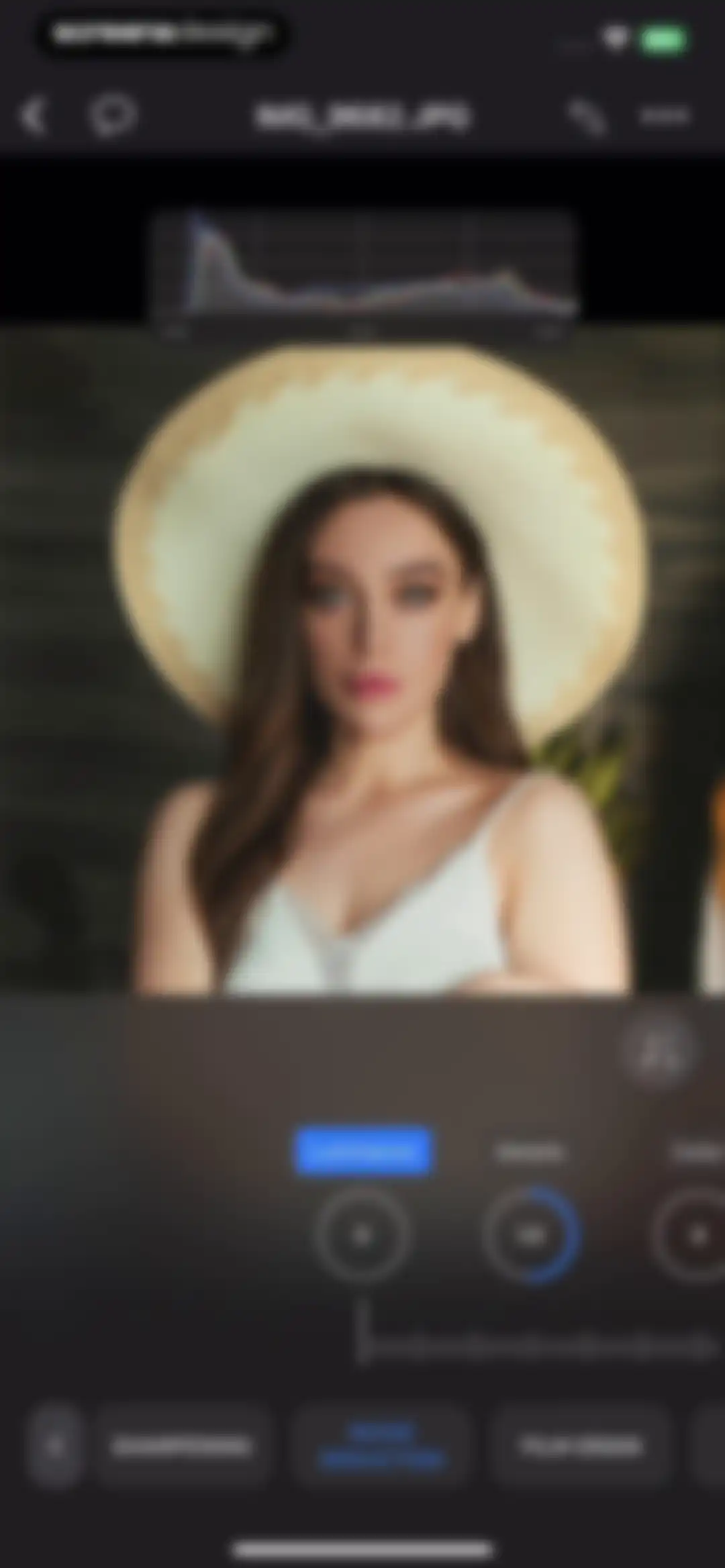Capture One screen 33