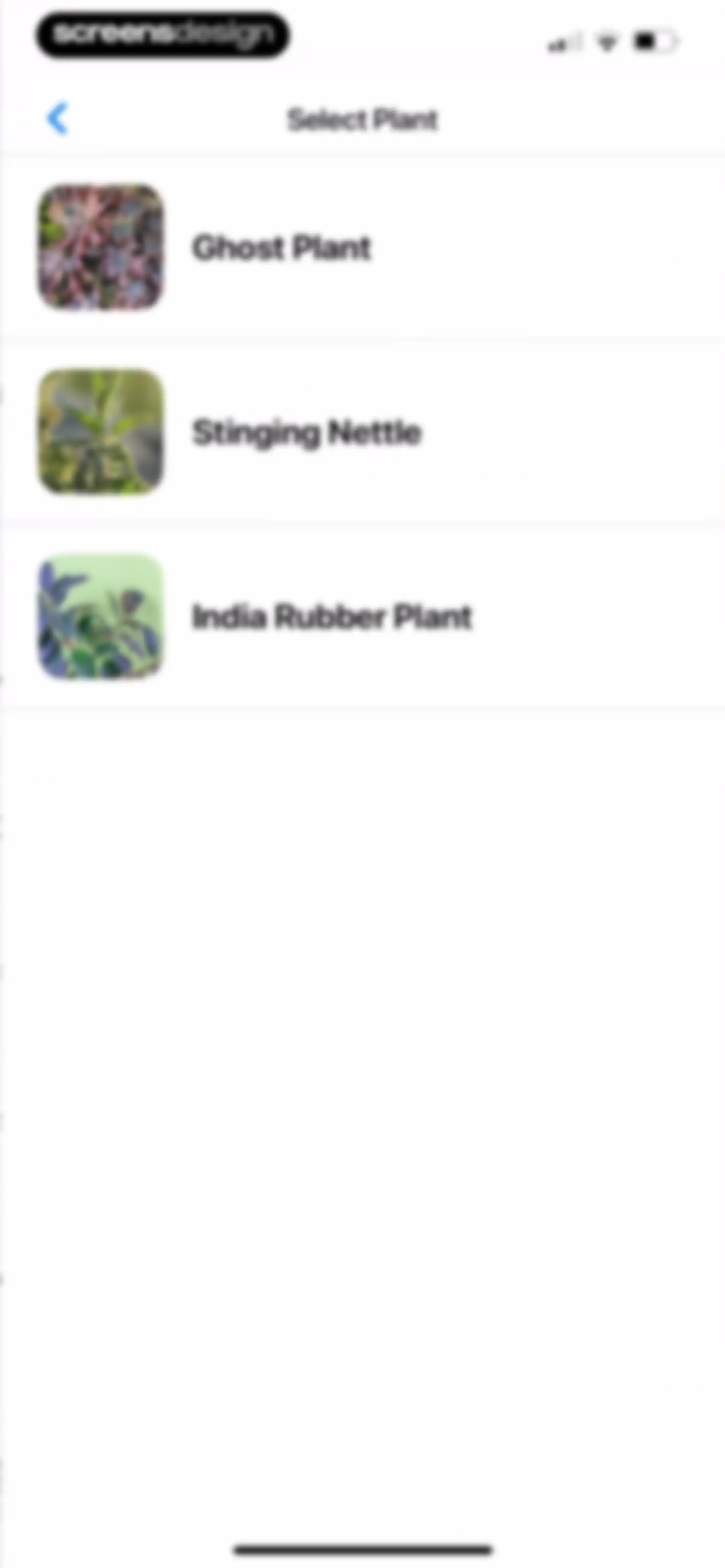 Plant App: Plant Identifier screen 141