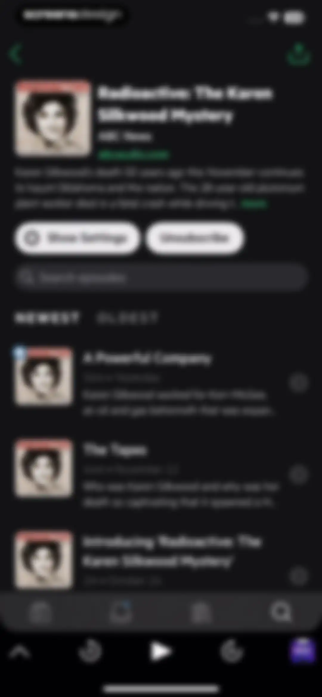 Castro: Podcast App & Player screen 47
