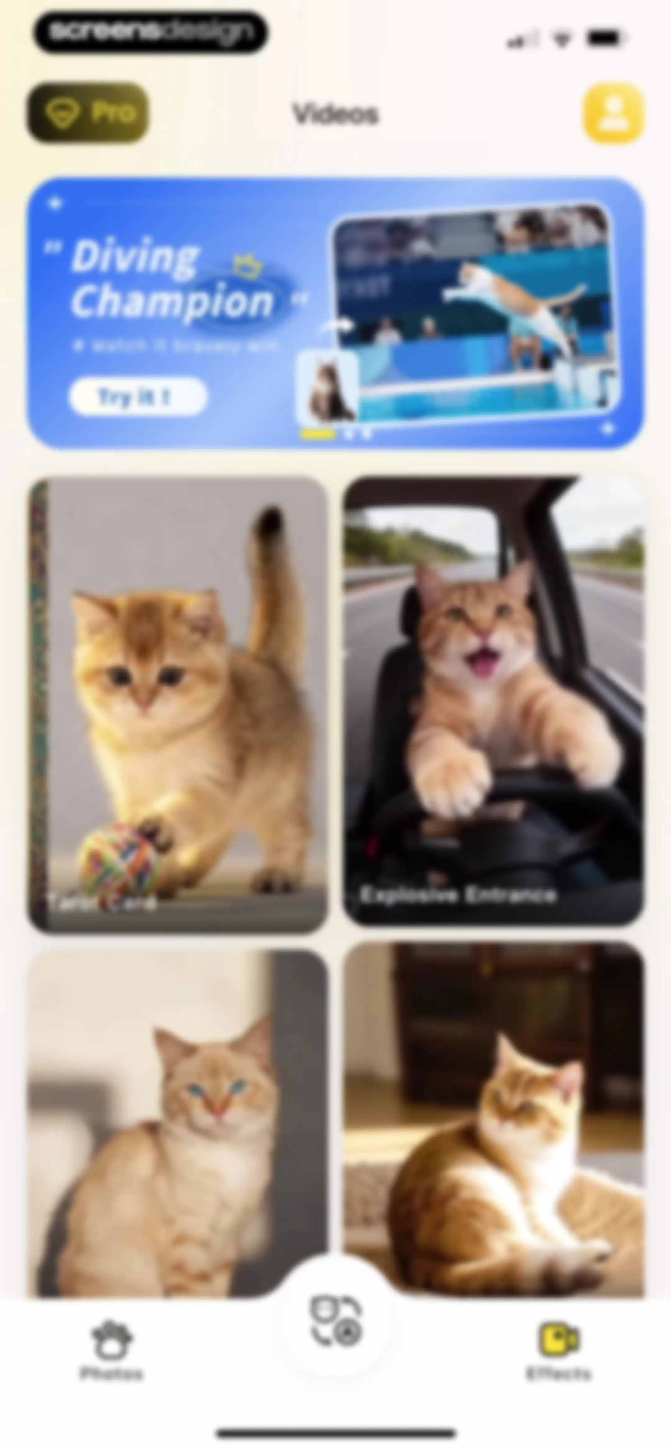 PetFun-Pet Talk & Camera screen 40