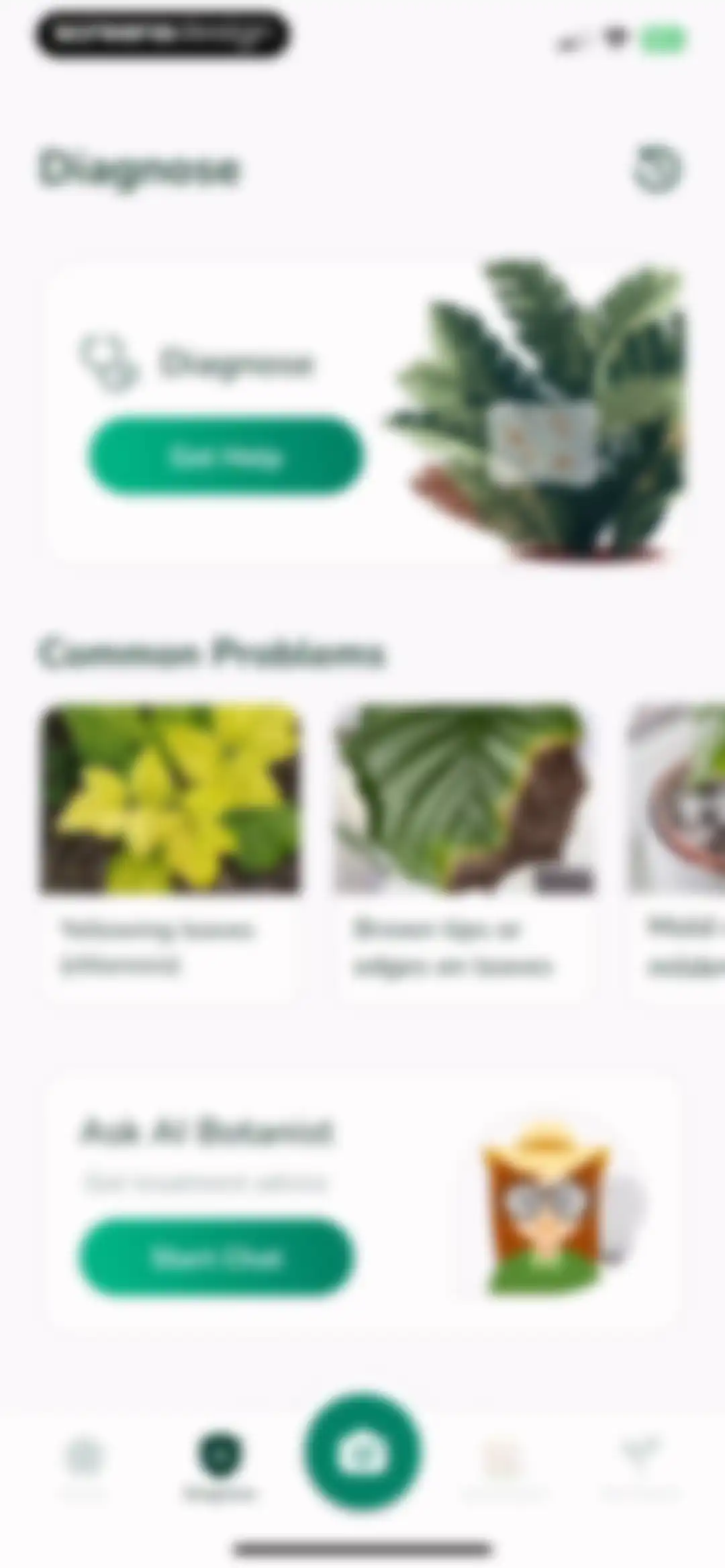 Plantify: AI Plant Identifier screen 42