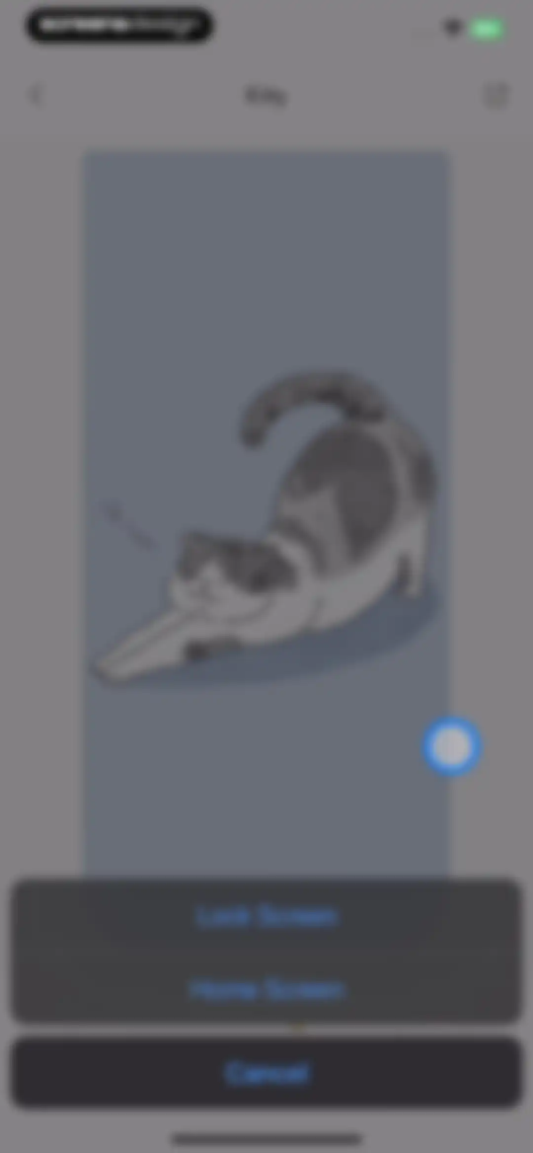illus - Face Effects Editor screen 52