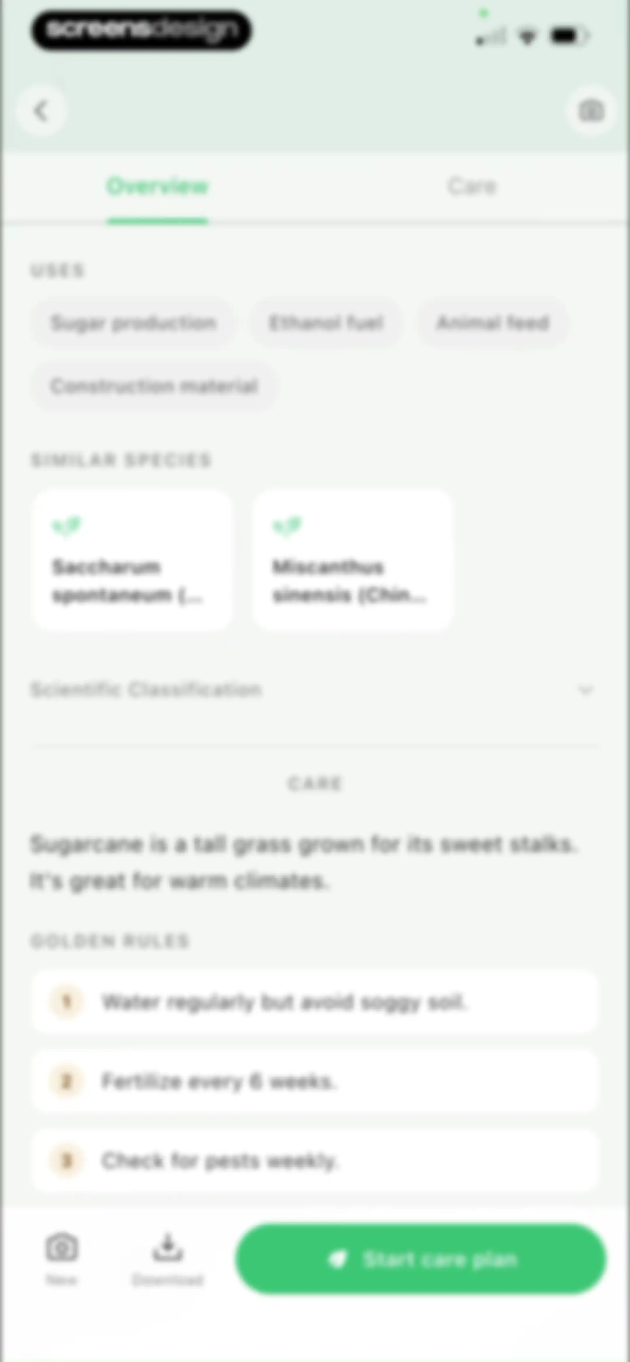 Grass Identifier: AI Scan screen 25