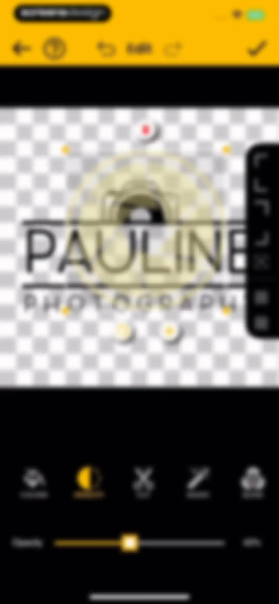 Watermark Maker: Add Signature screen 14