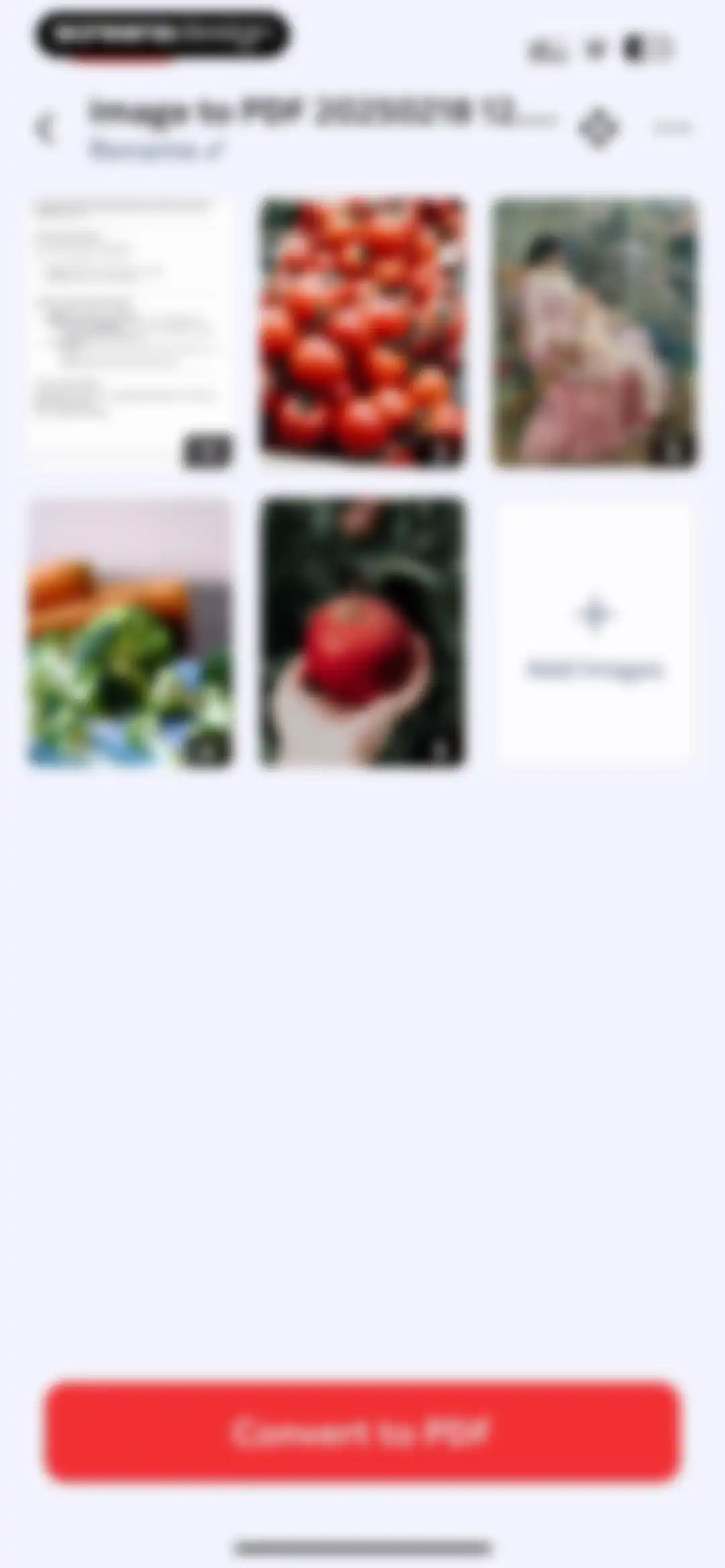 Image to PDF Converter · Edit screen 21