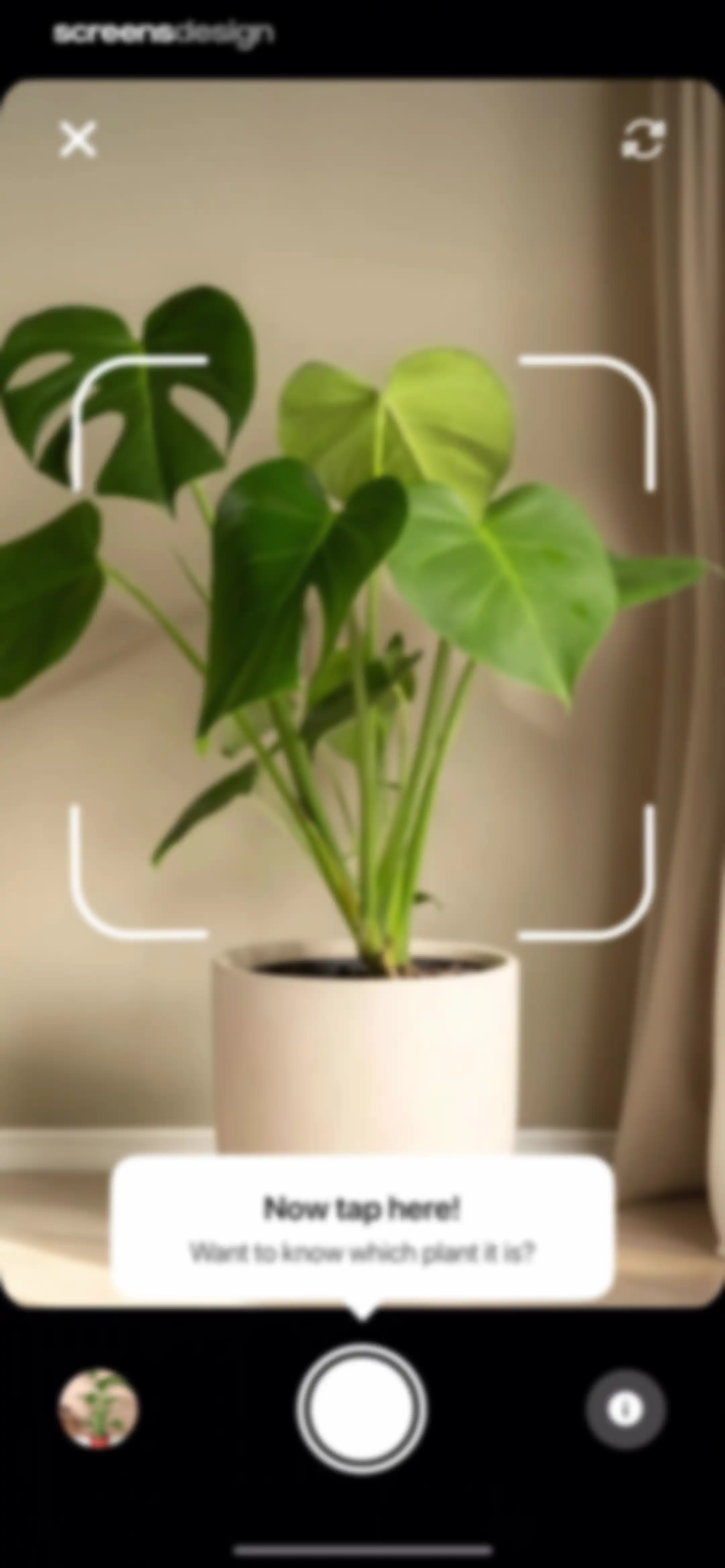 Plant App: Plant Identifier screen 14