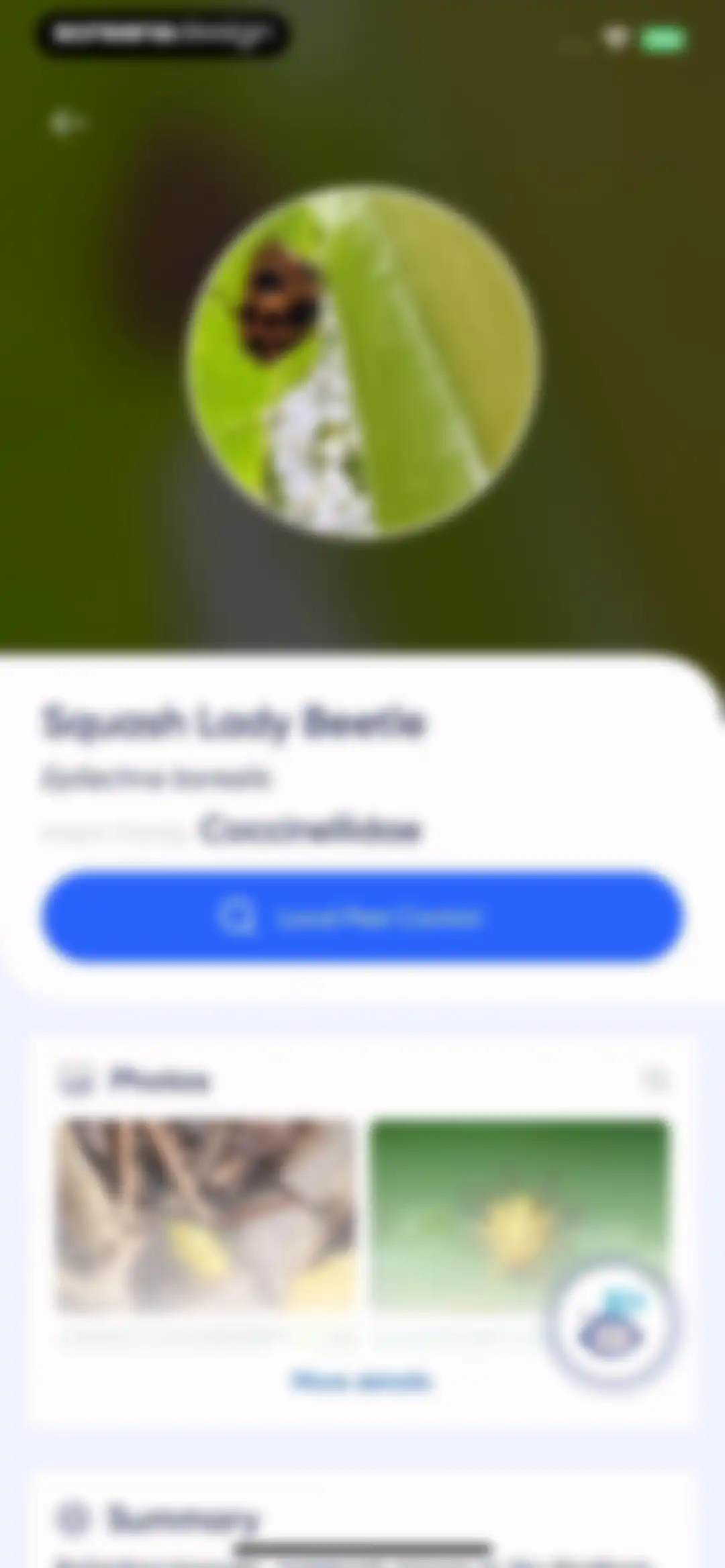 Bug Identifier: AI Insect id screen 30