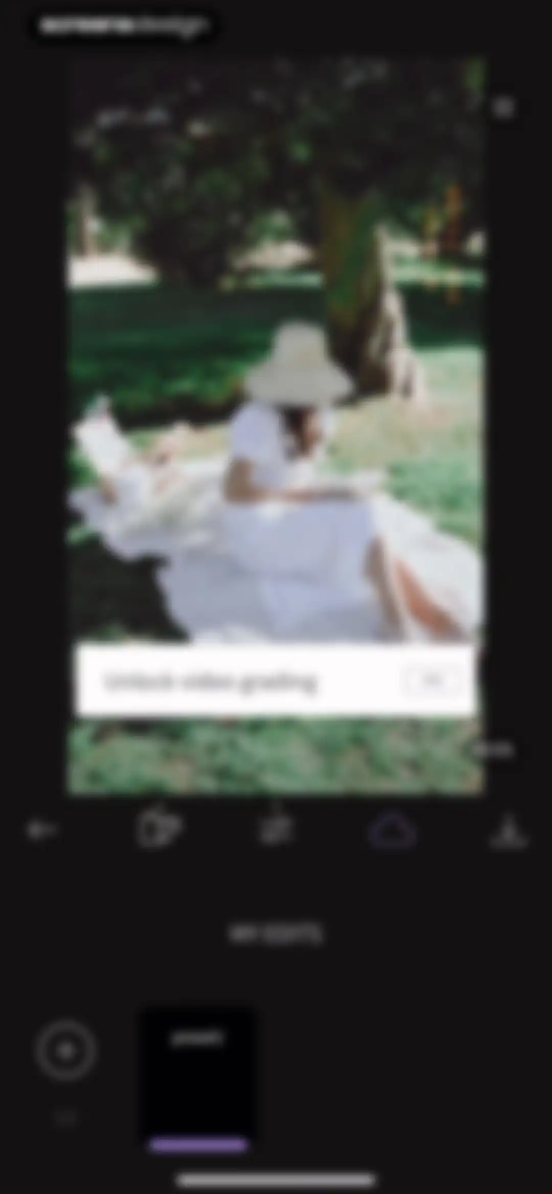 RNI Films: Photo & RAW Editor screen 36