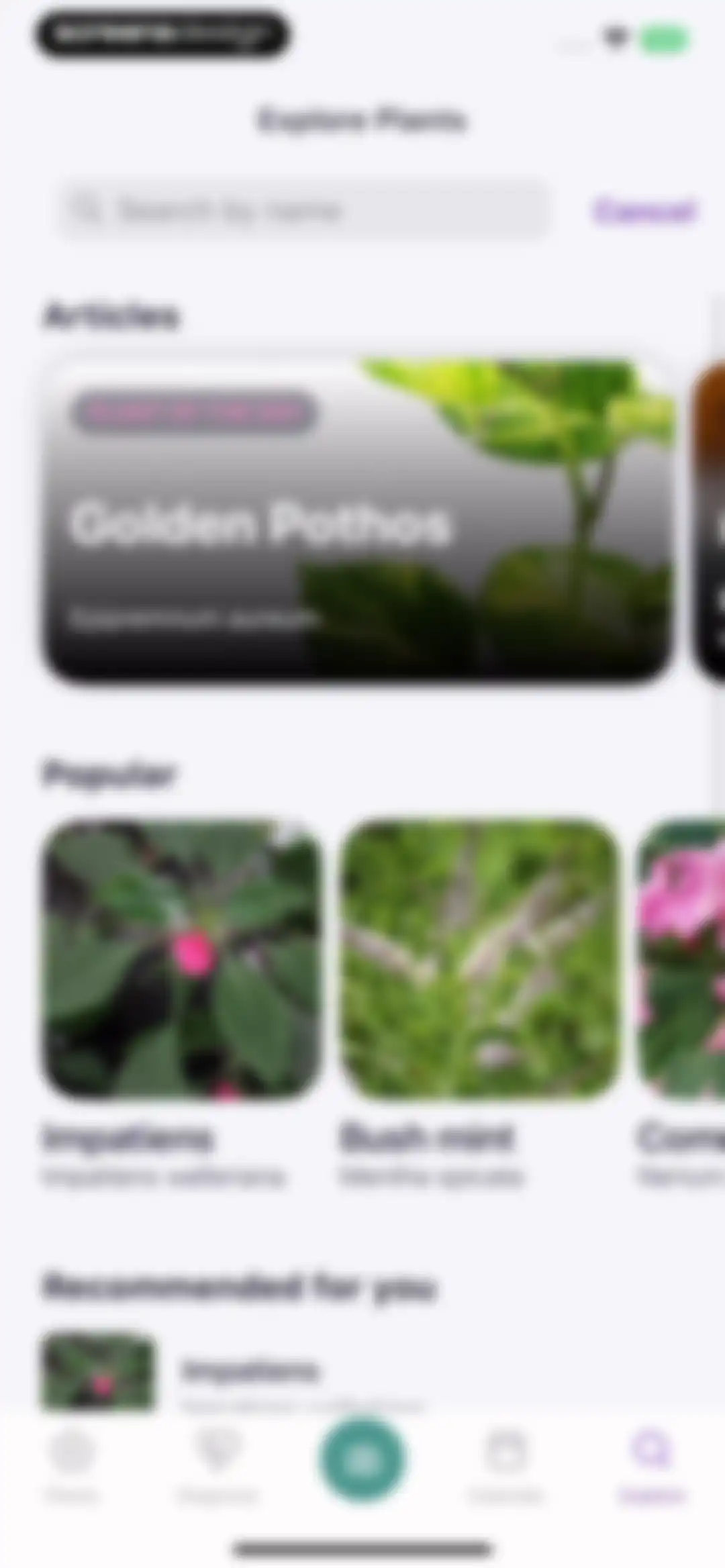 AI Plant Identifier・Care－Lily screen 42