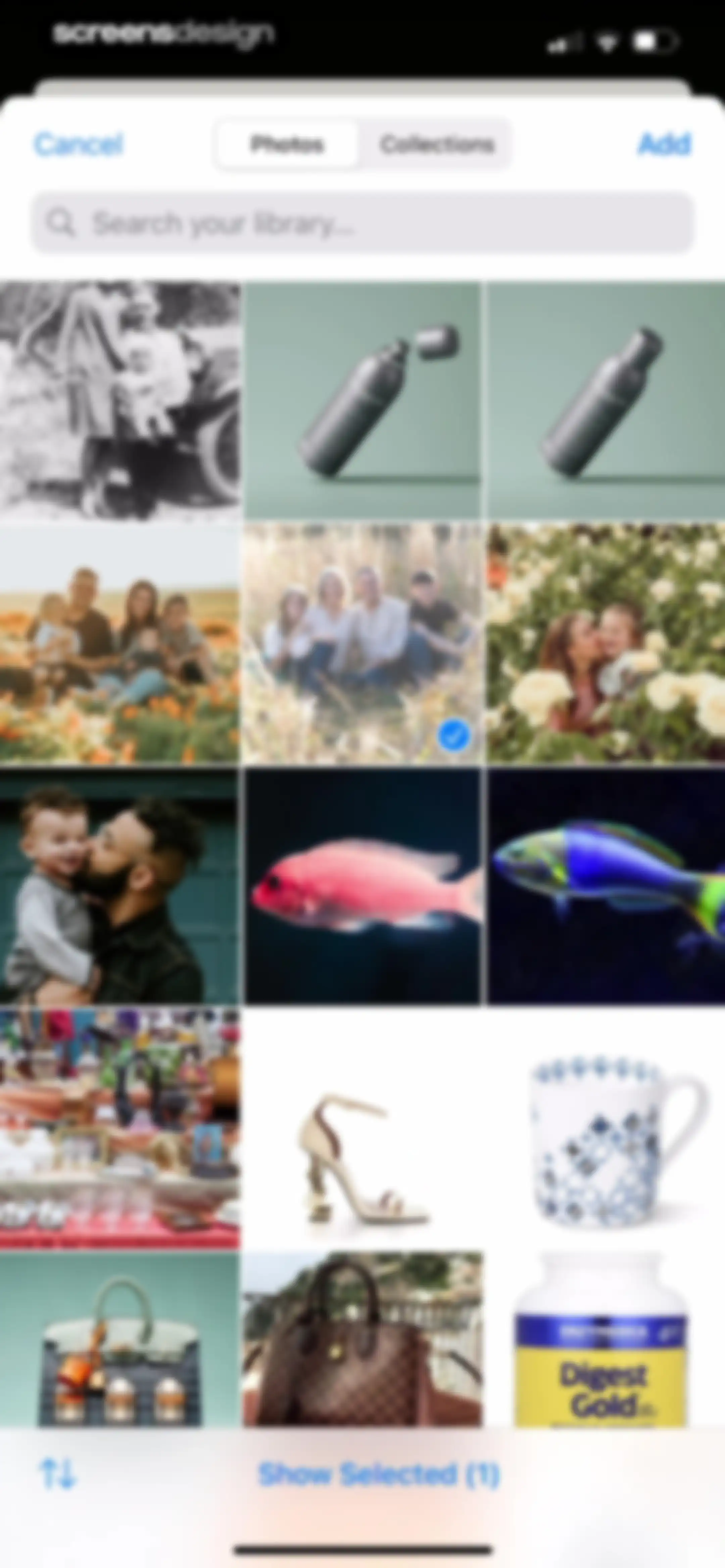 Ancestry: Family History & DNA screen 258