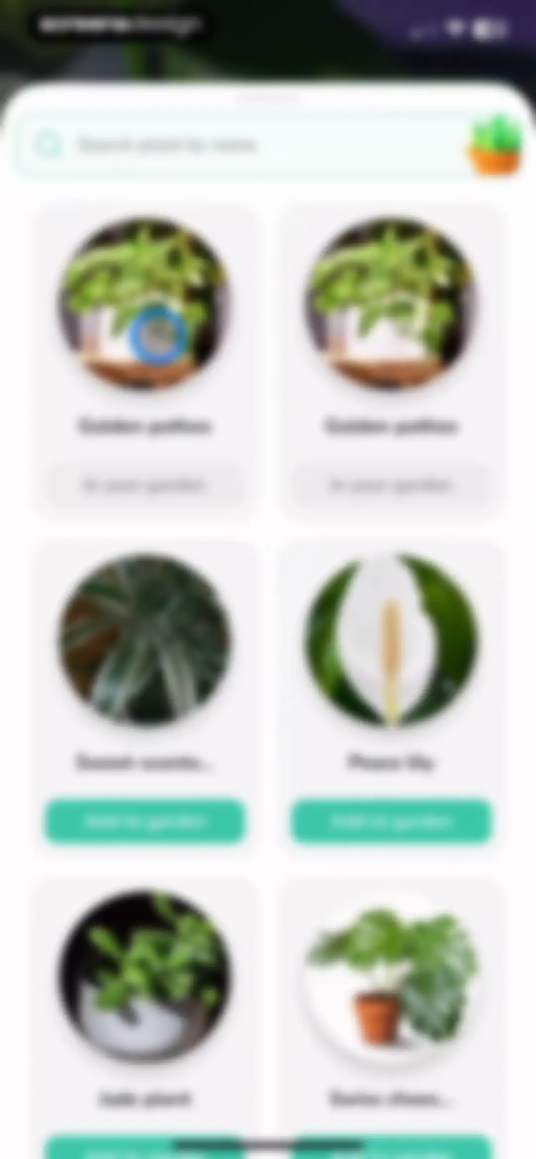 Plant Identifier - PlantMe screen 17