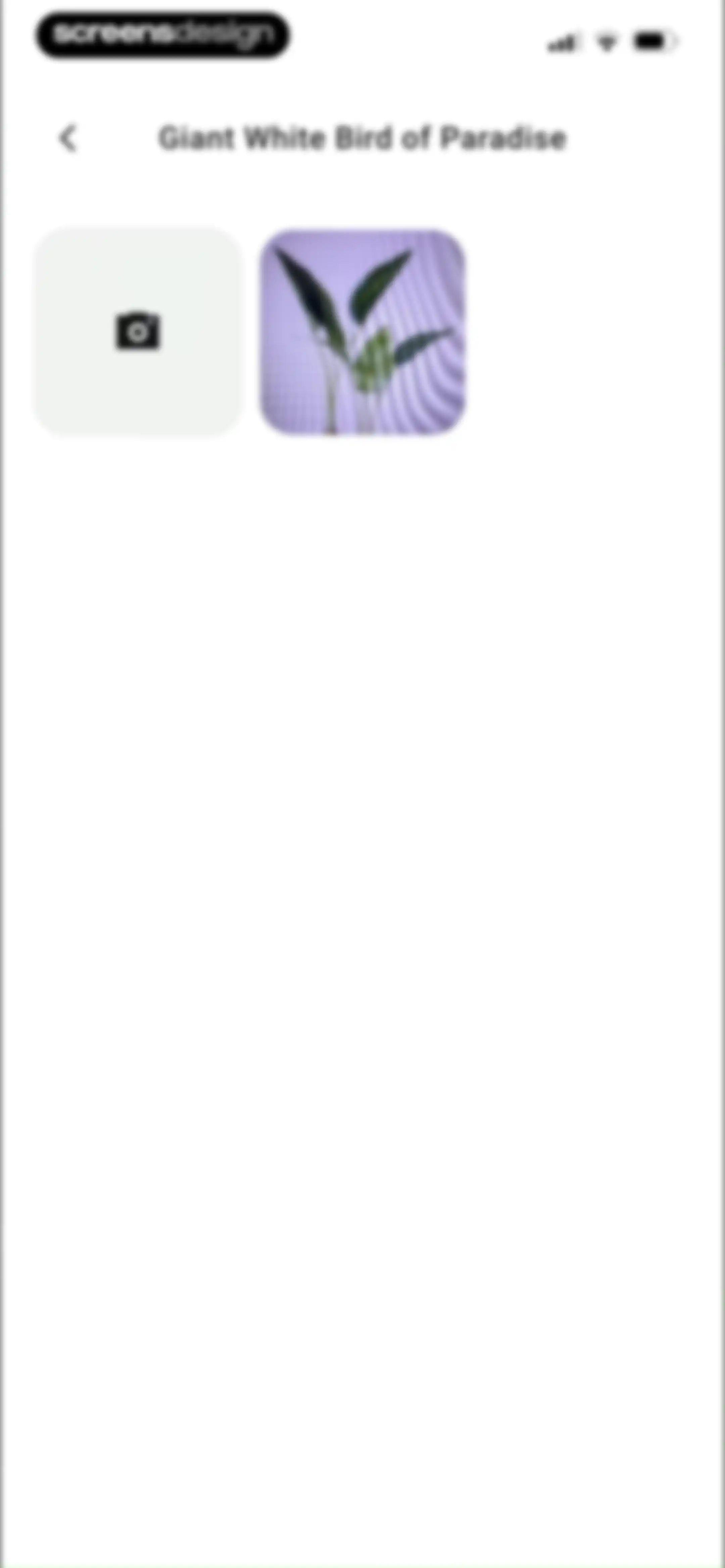 PlantAID:identifier&care guide screen 63