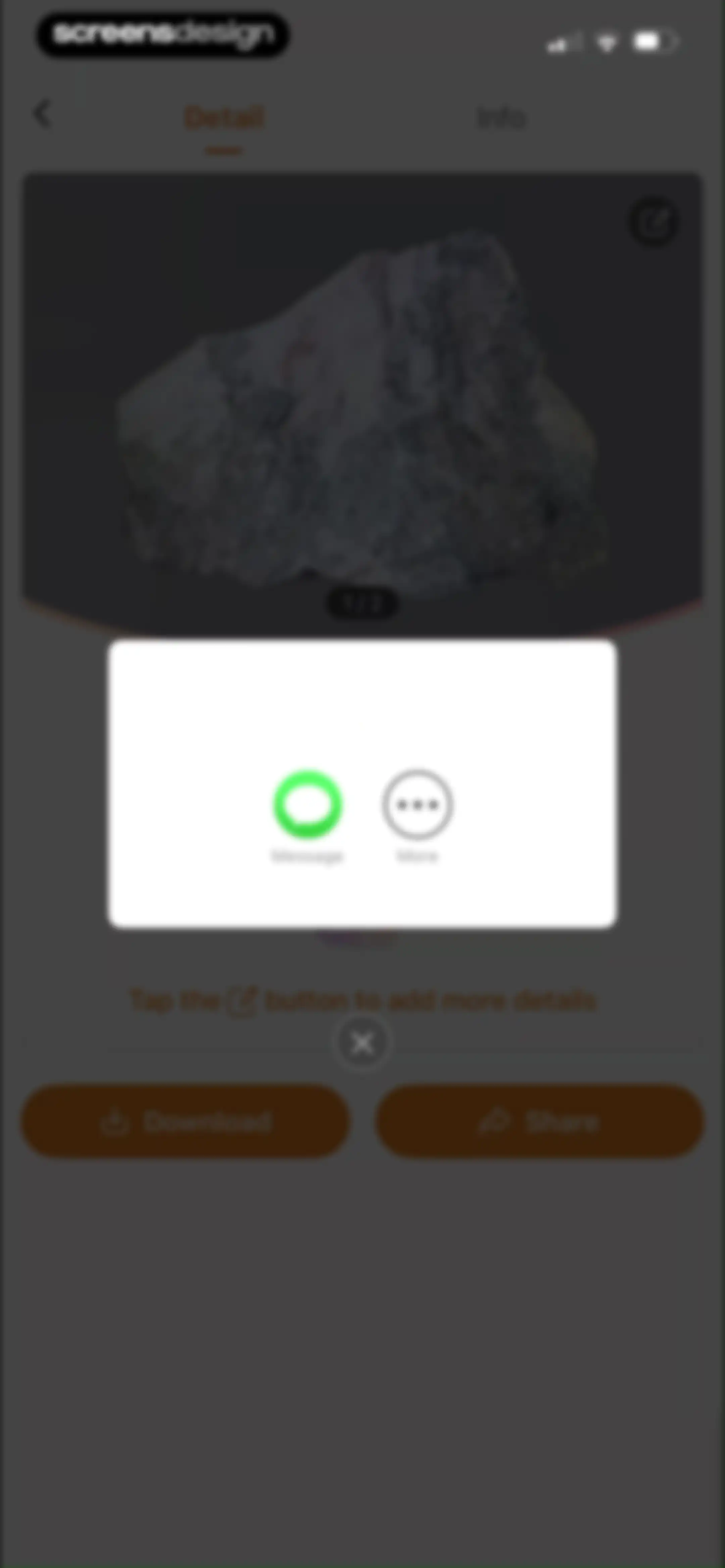 Rock Identifier: Stone ID screen 61