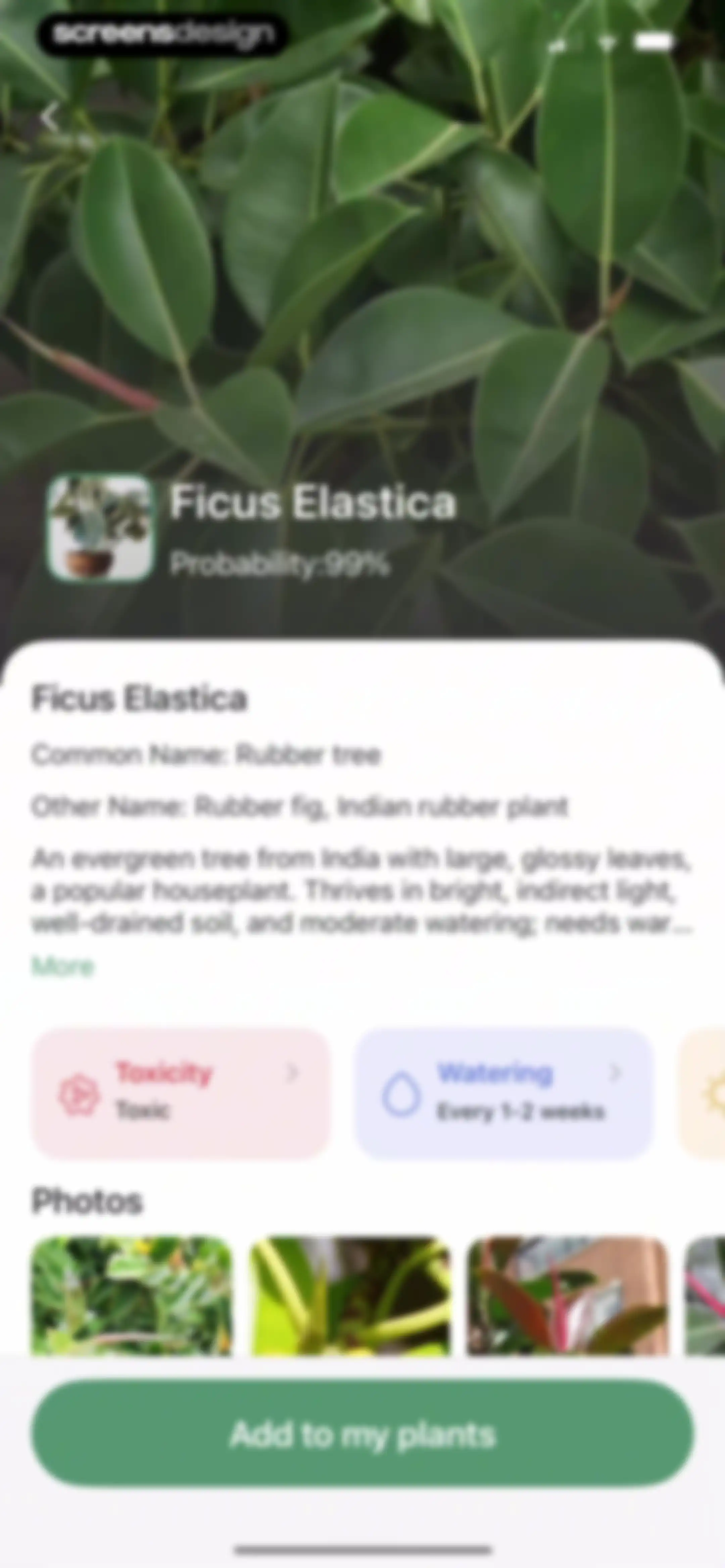 Verde Finder : identify plants screen 40