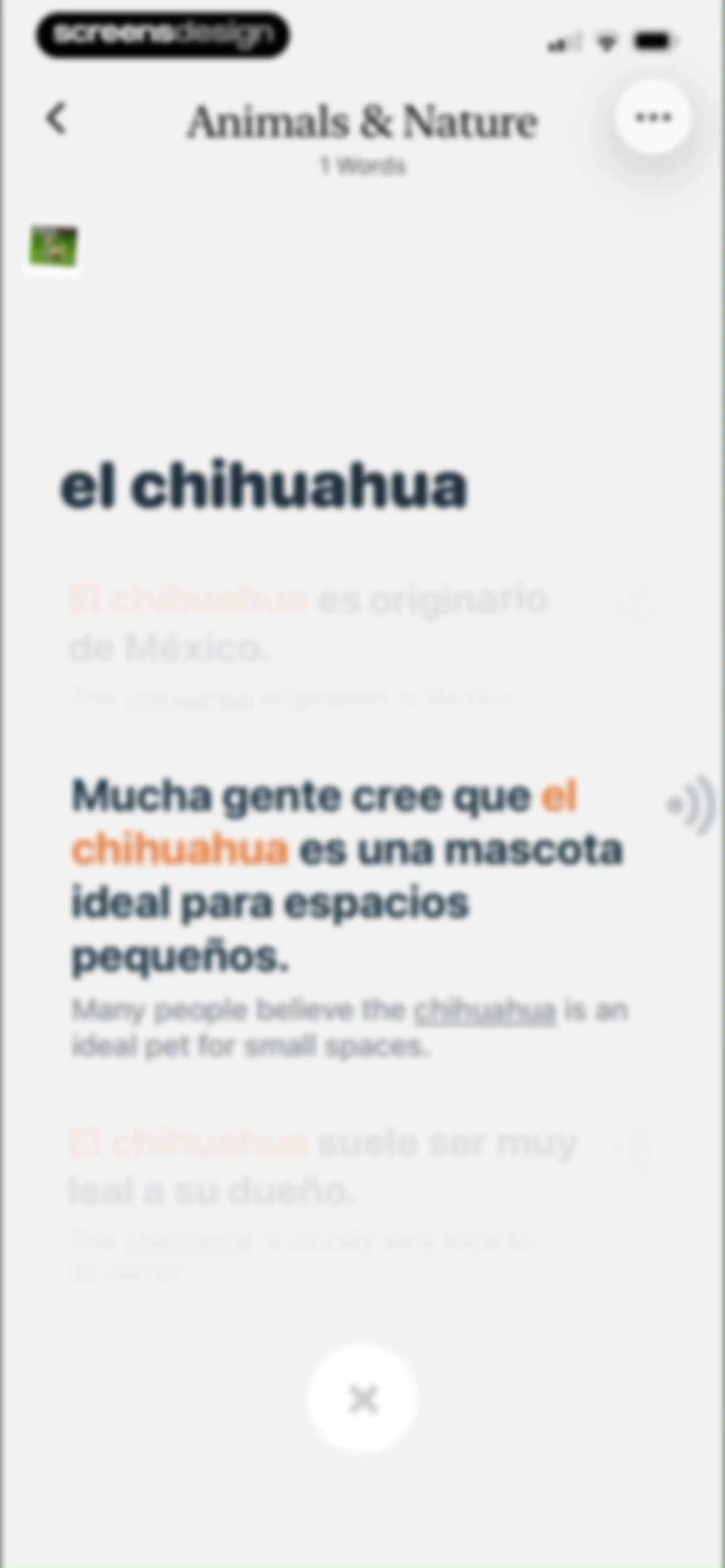 CapWords: AI Language Tutor screen 50