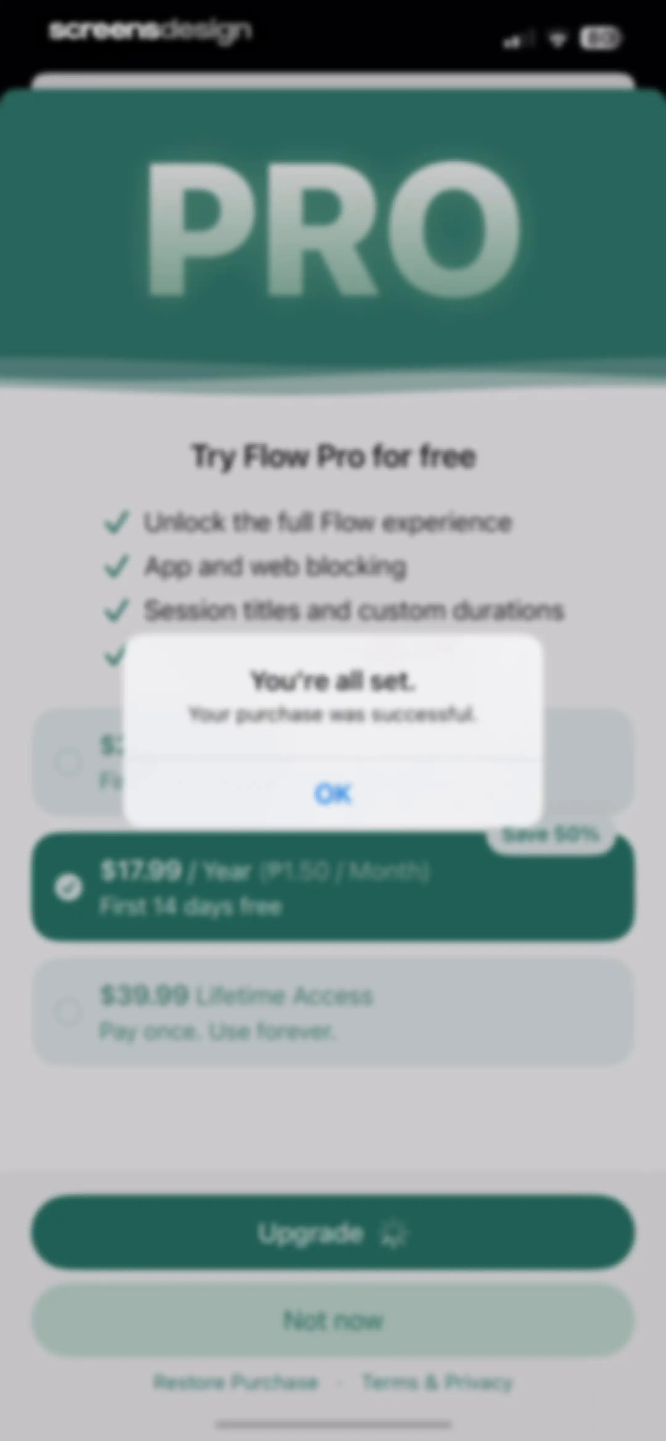 Flow: Focus & Pomodoro Timer screen 4