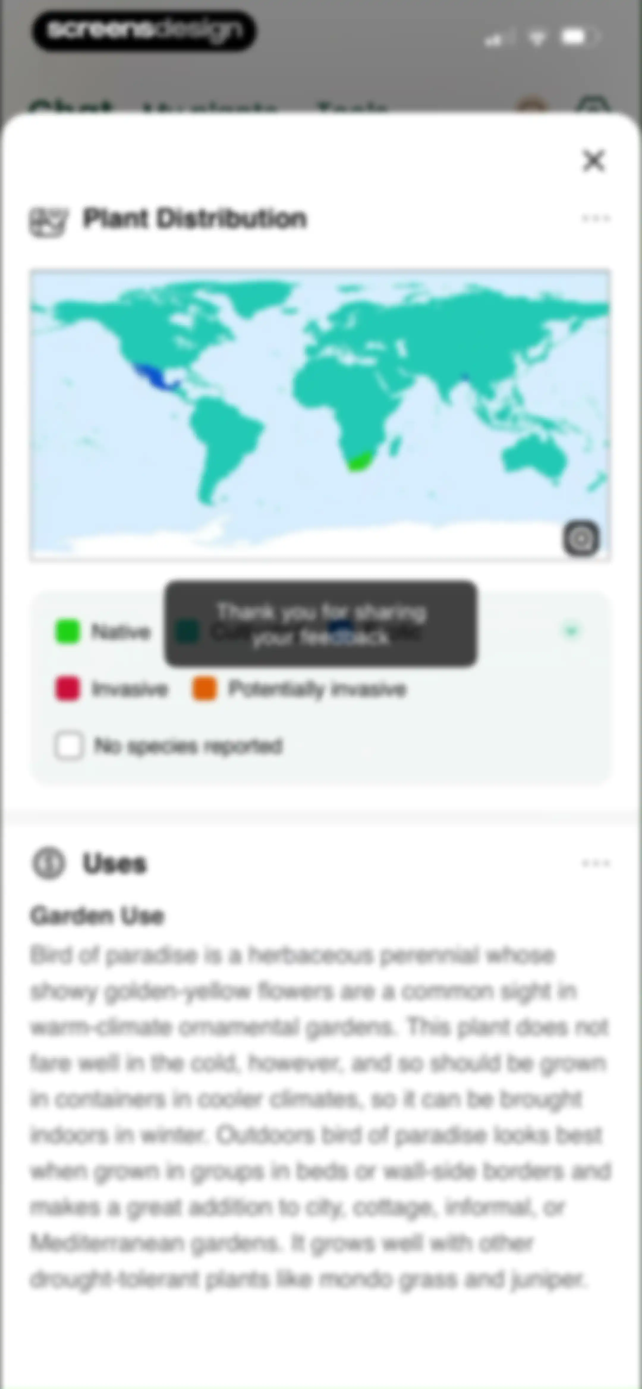 PlantAI: Identifier & Diagnose screen 42