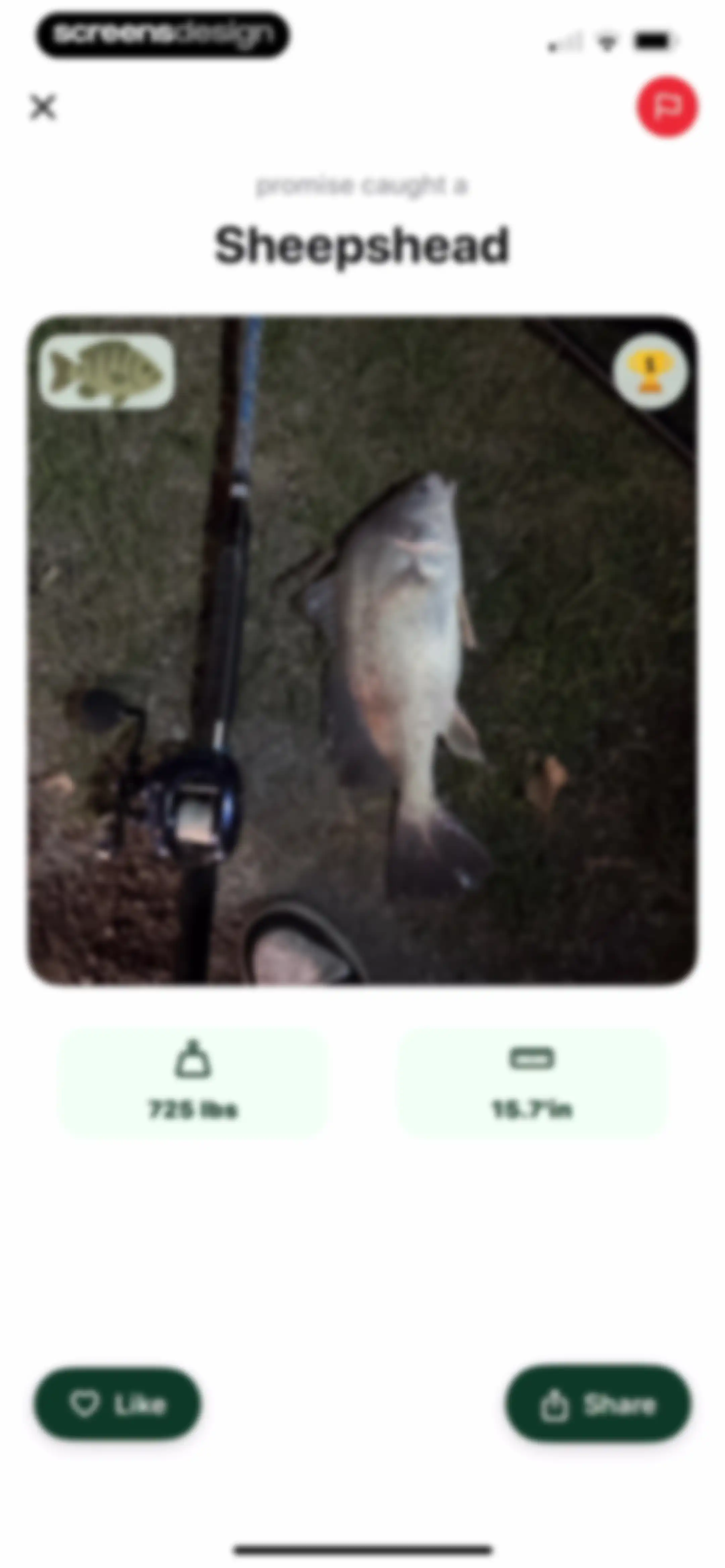 Catchr: Fish Identifier screen 44