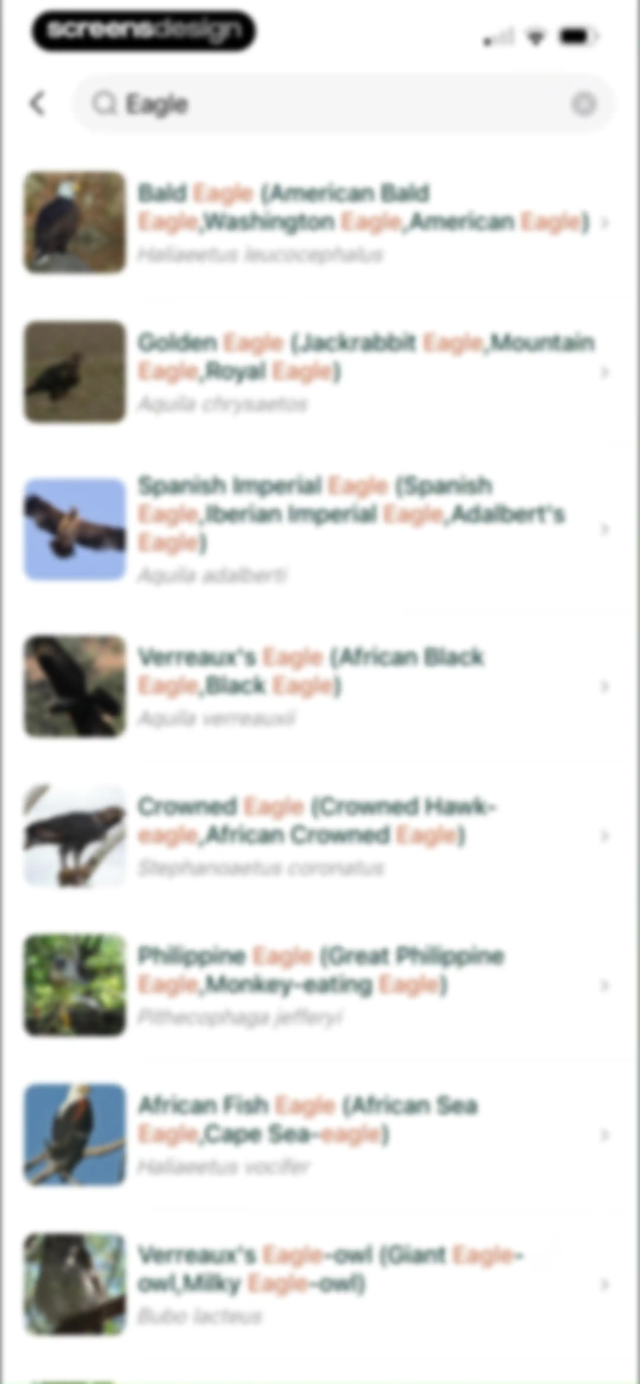 Picture Bird: Bird identifier screen 92