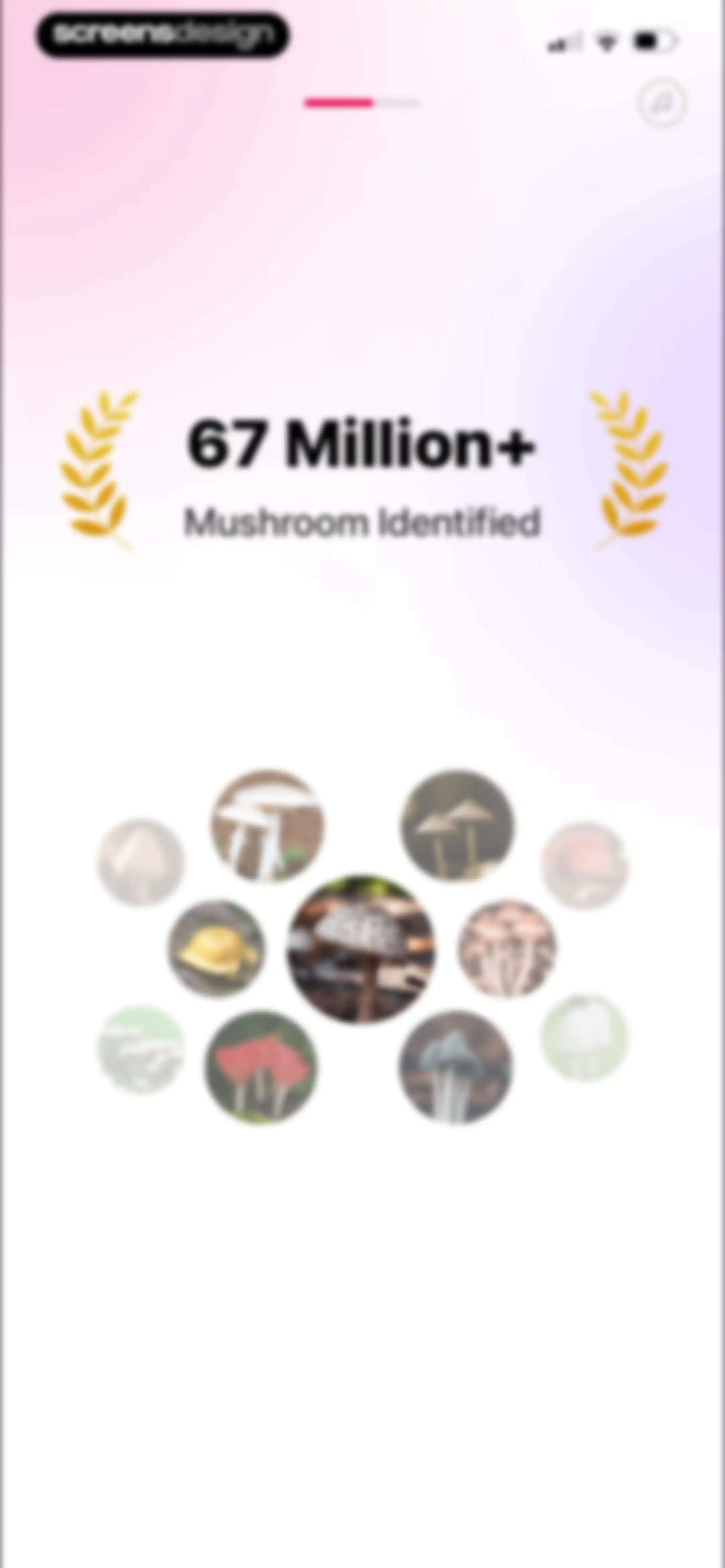 Picture Mushroom: Identifier screen 9