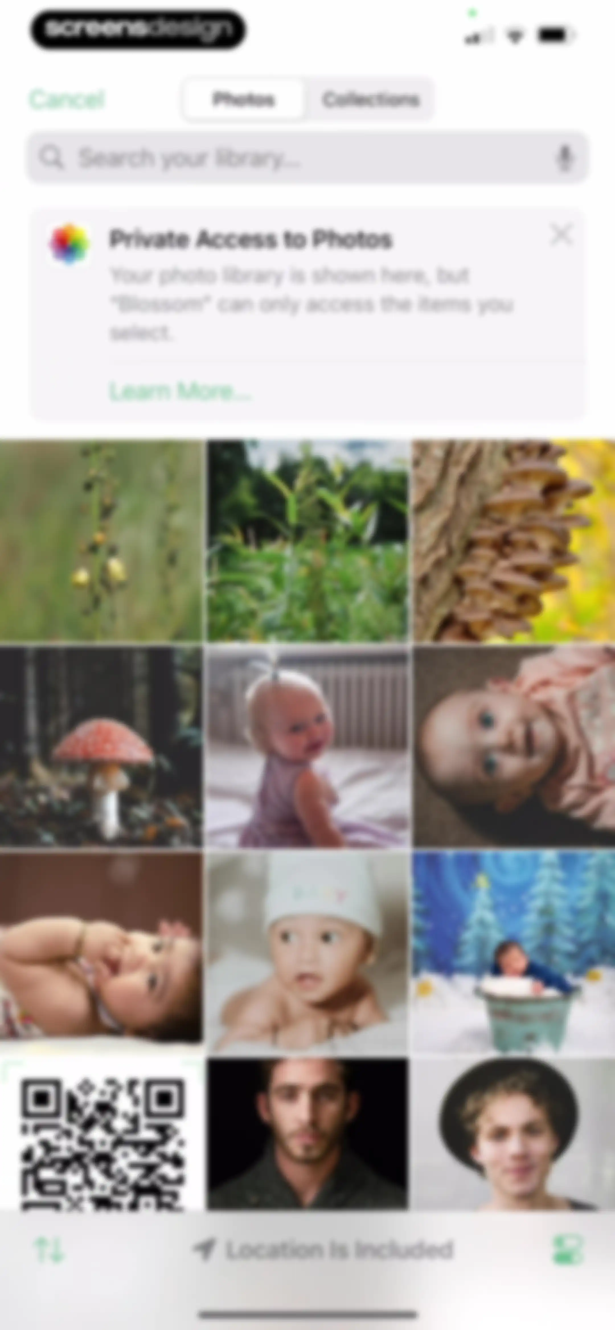 Blossom - Plant Care Guide screen 206