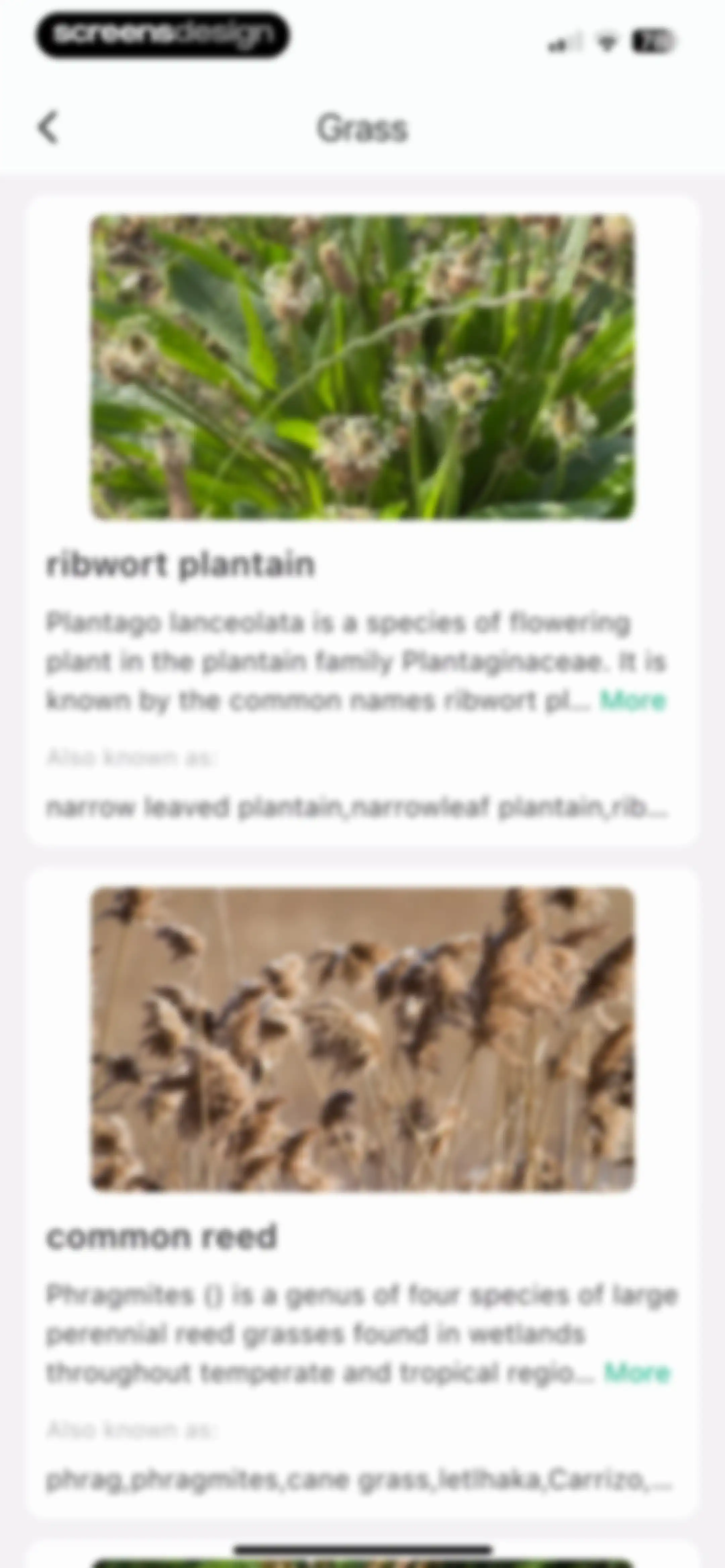Plant Identifier: ChatPlant AI screen 53