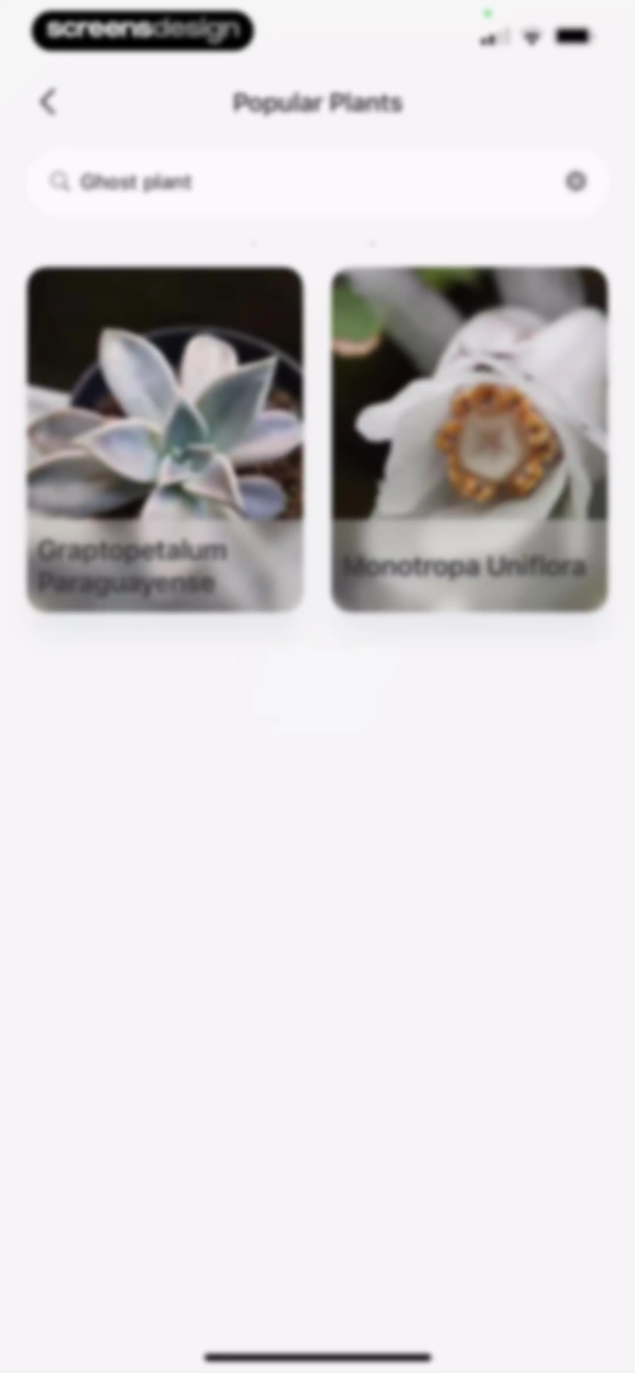 Verde Finder : identify plants screen 62