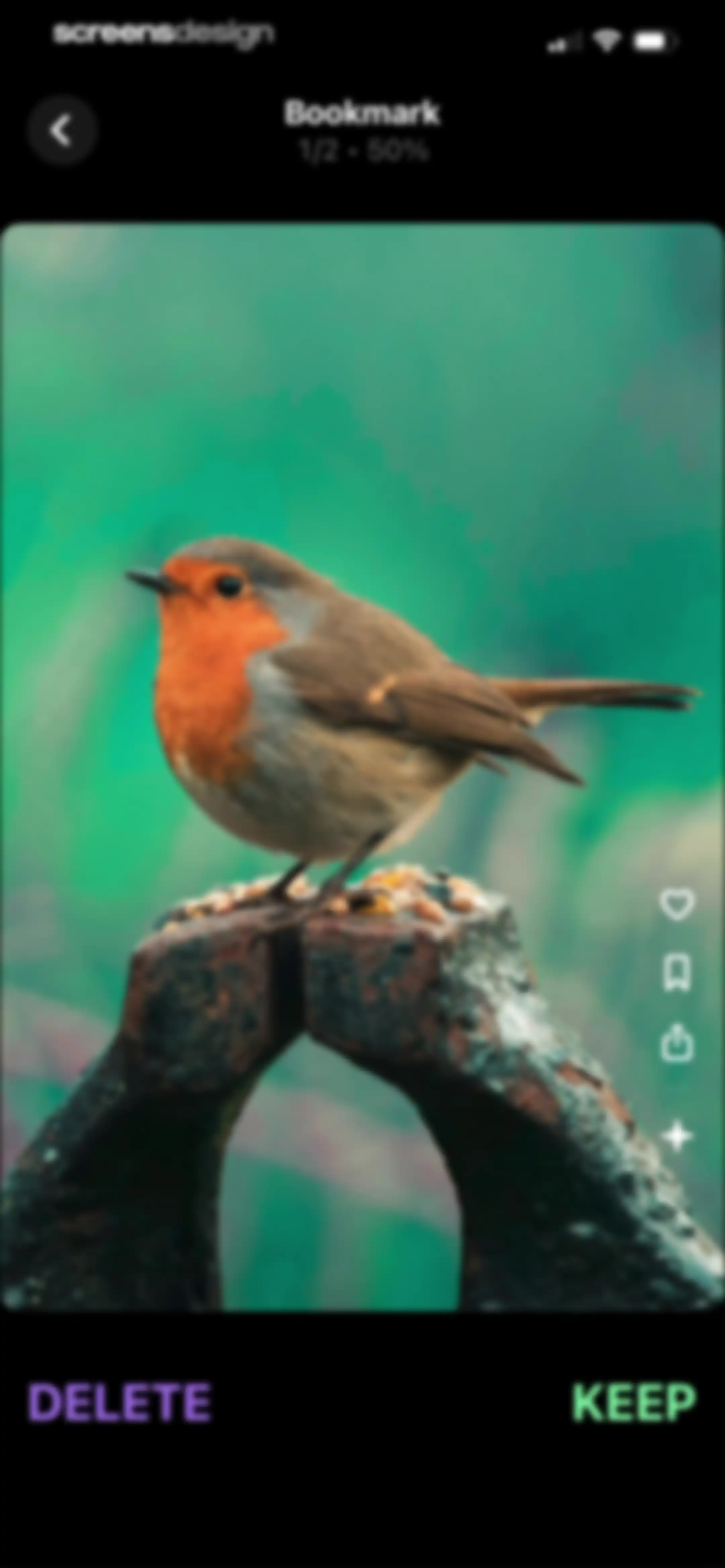 Swipewipe: Photo Cleaner screen 61