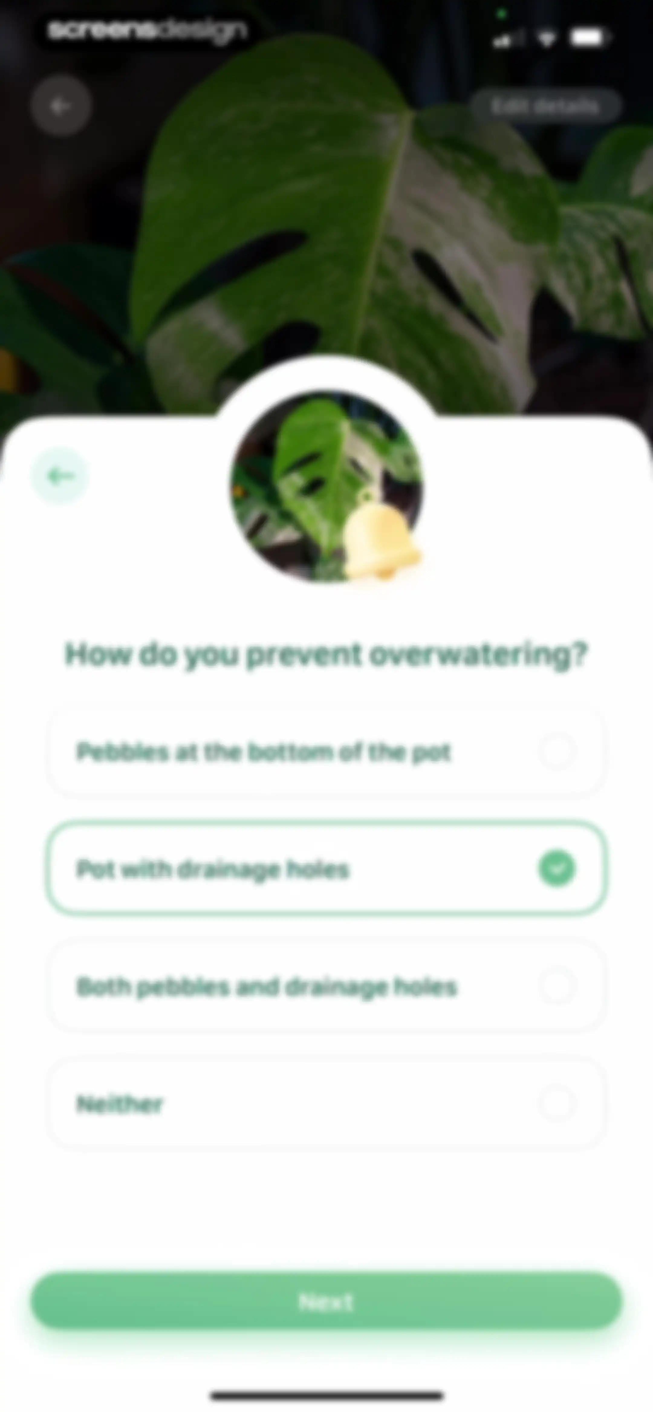Blossom - Plant Care Guide screen 125