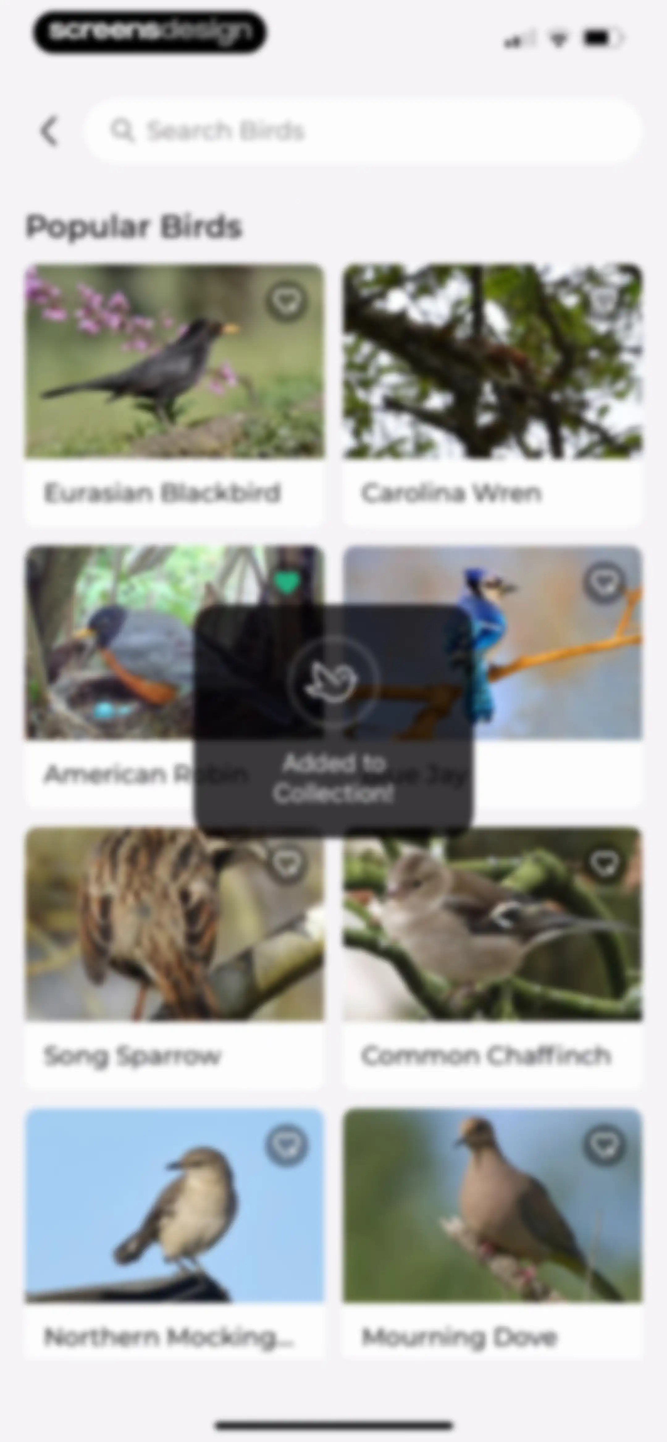 Bird Identifier: BirdScope screen 46