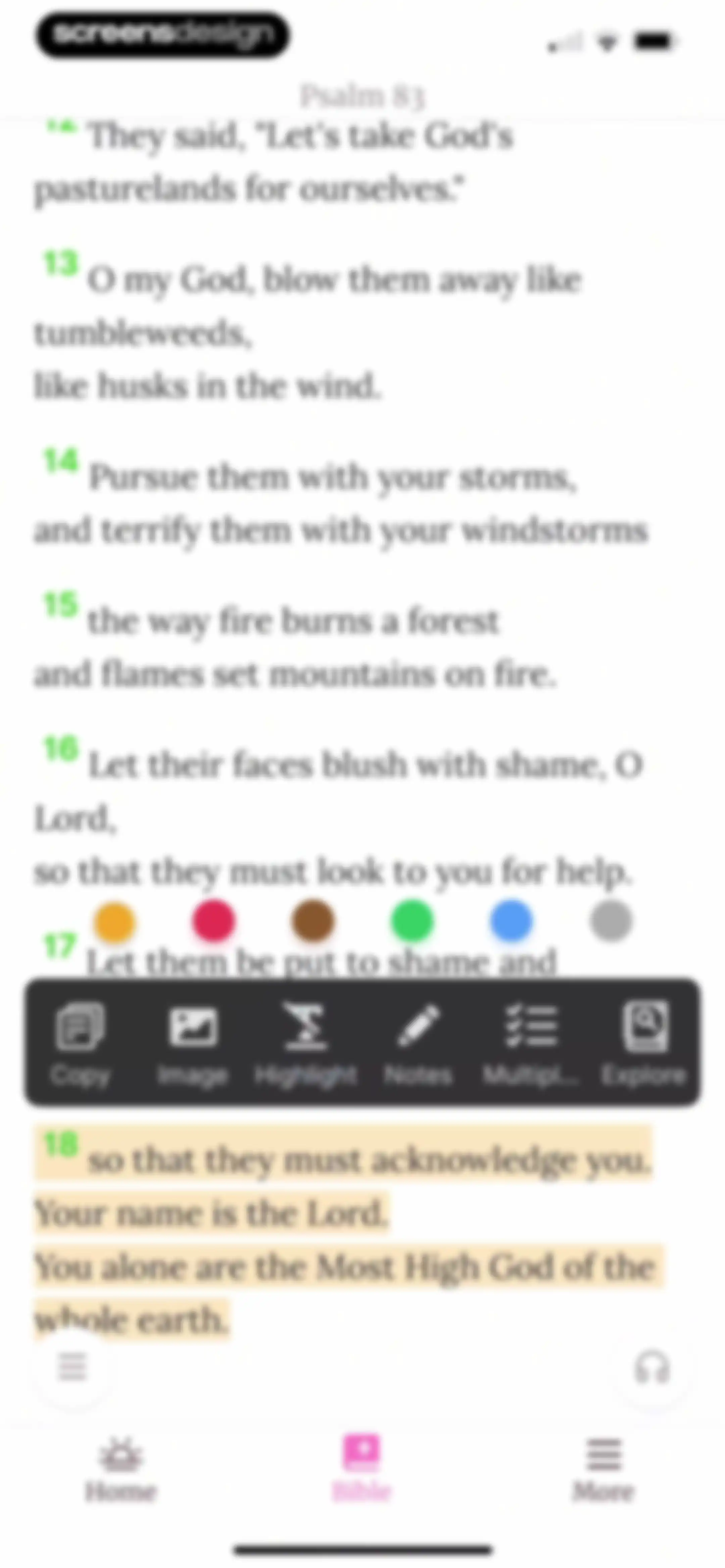 Bible For Women. screen 59