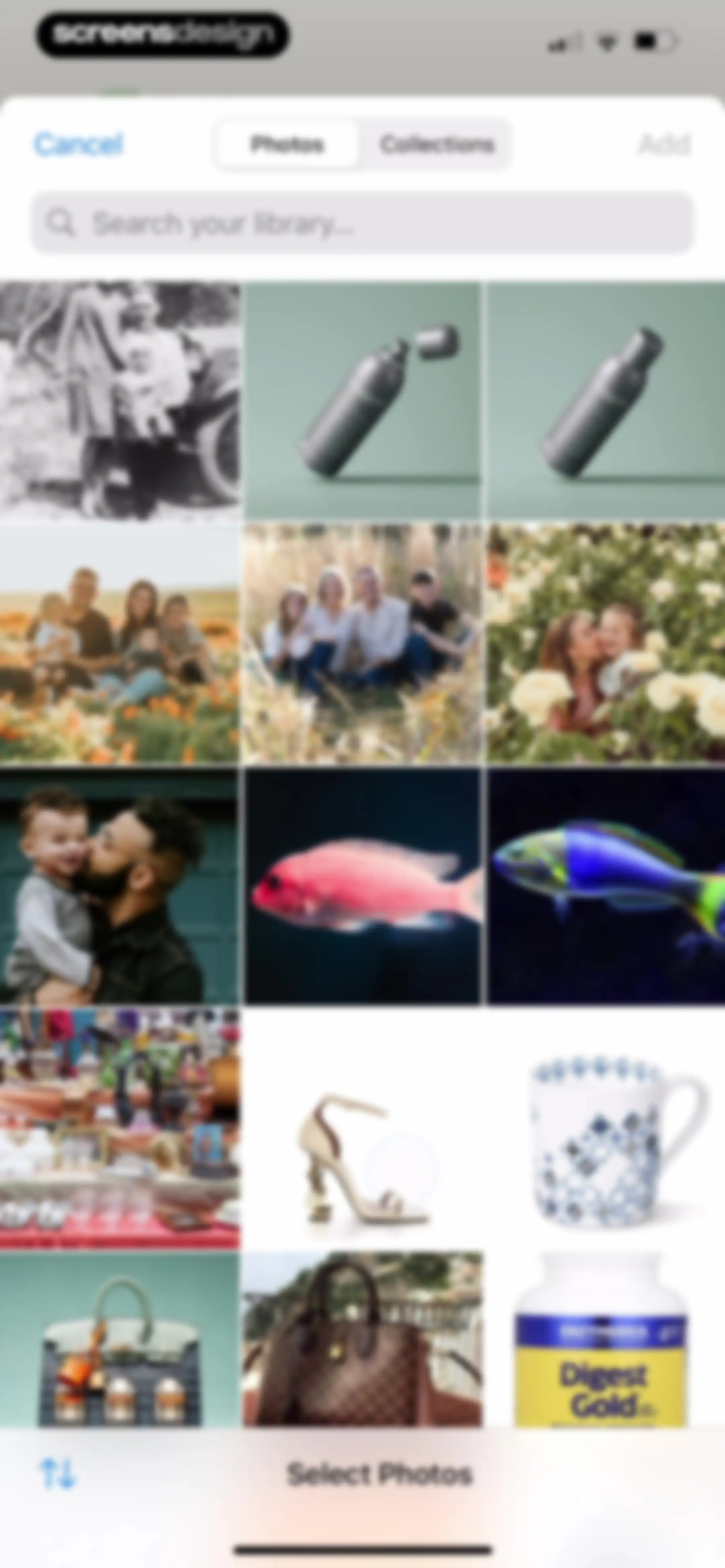 Ancestry: Family History & DNA screen 100