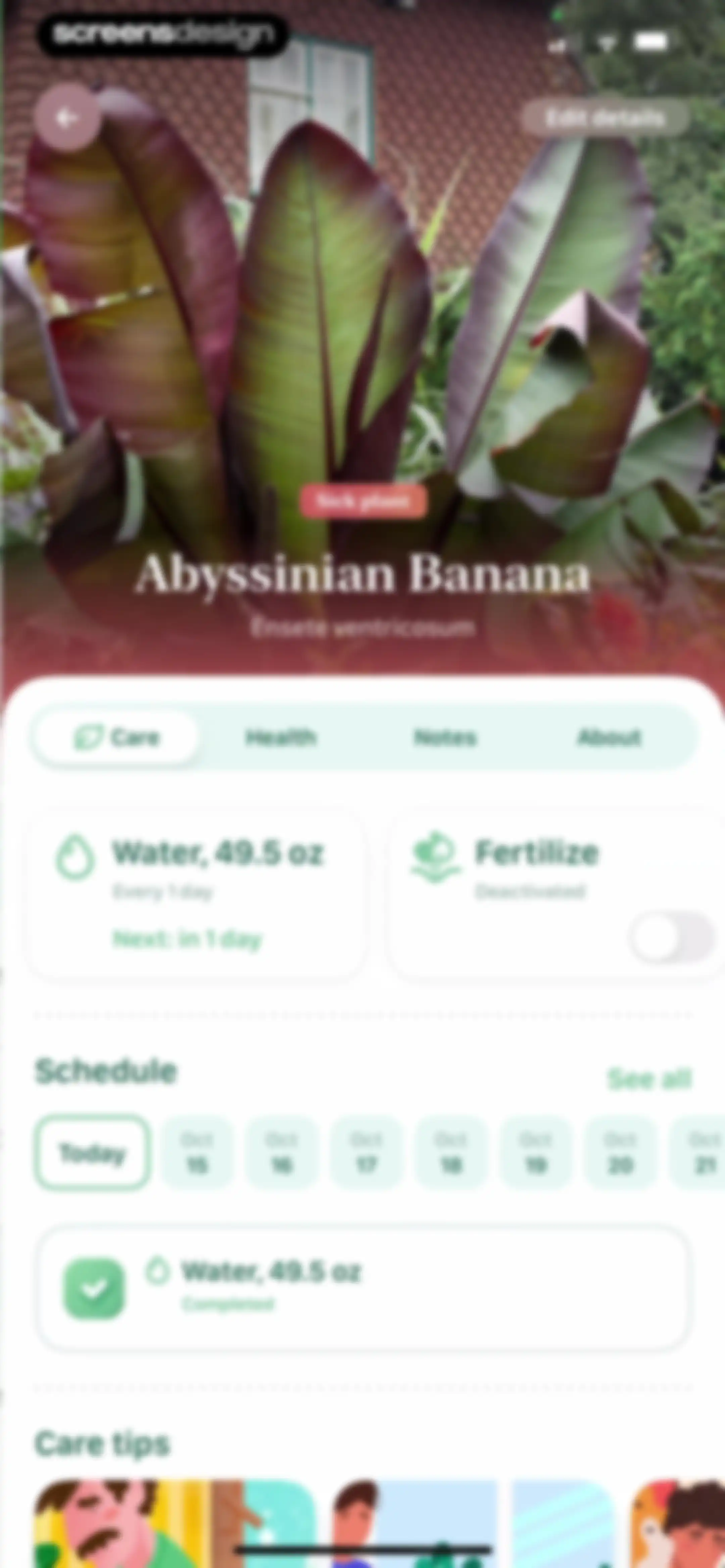 Blossom - Plant Care Guide screen 145