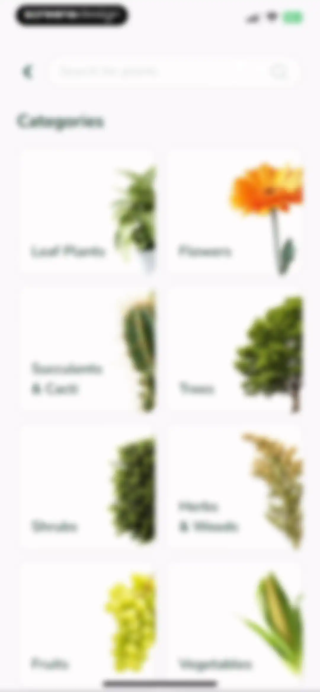 Plantify: AI Plant Identifier screen 19