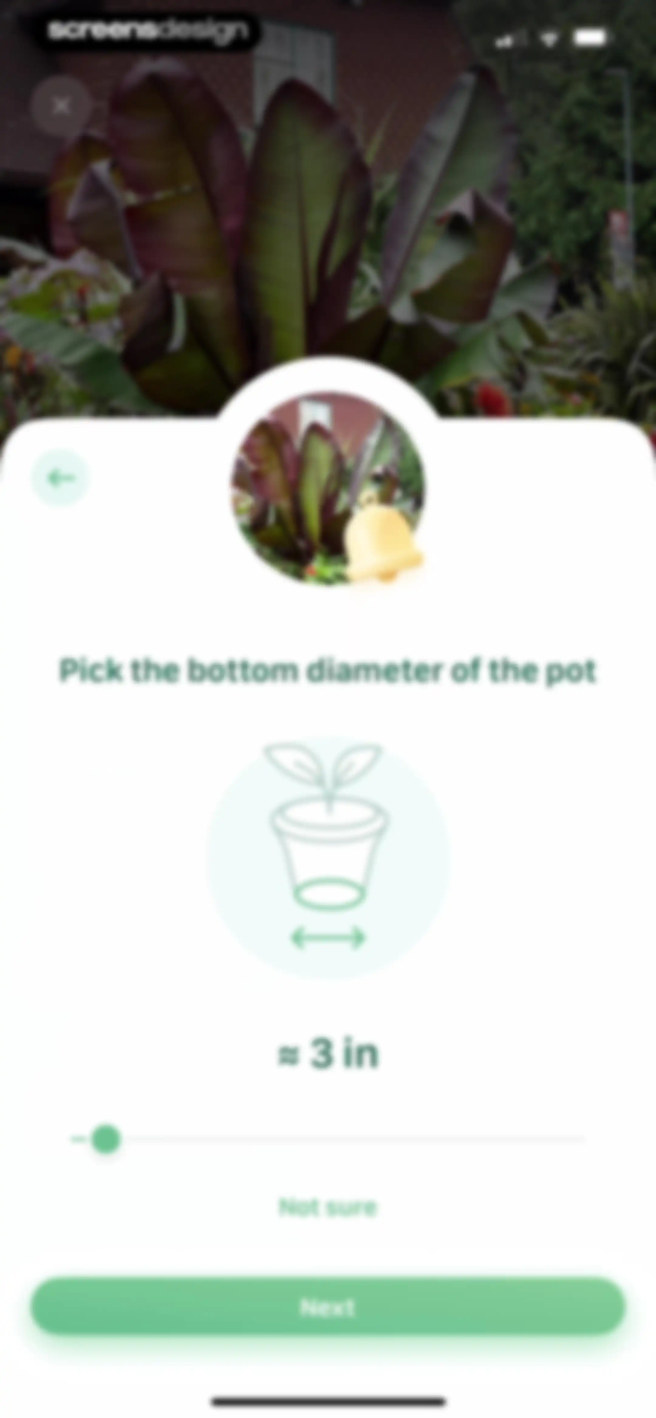 Blossom - Plant Care Guide screen 40