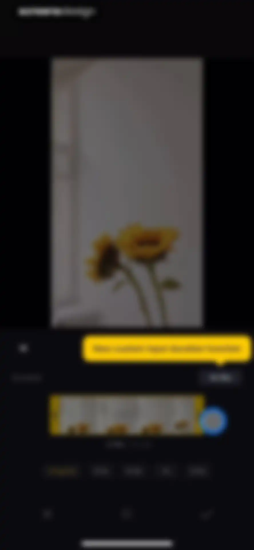 VN: Photo & Video Editor screen 66