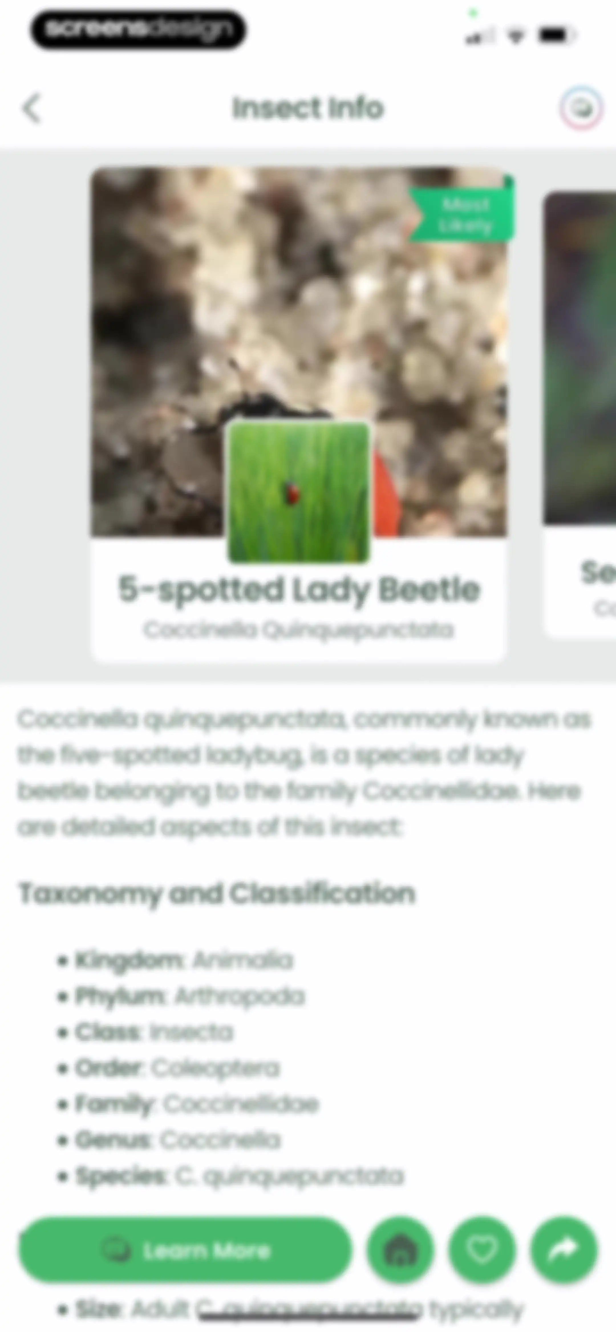 Plant Identifier: Plantiary screen 55