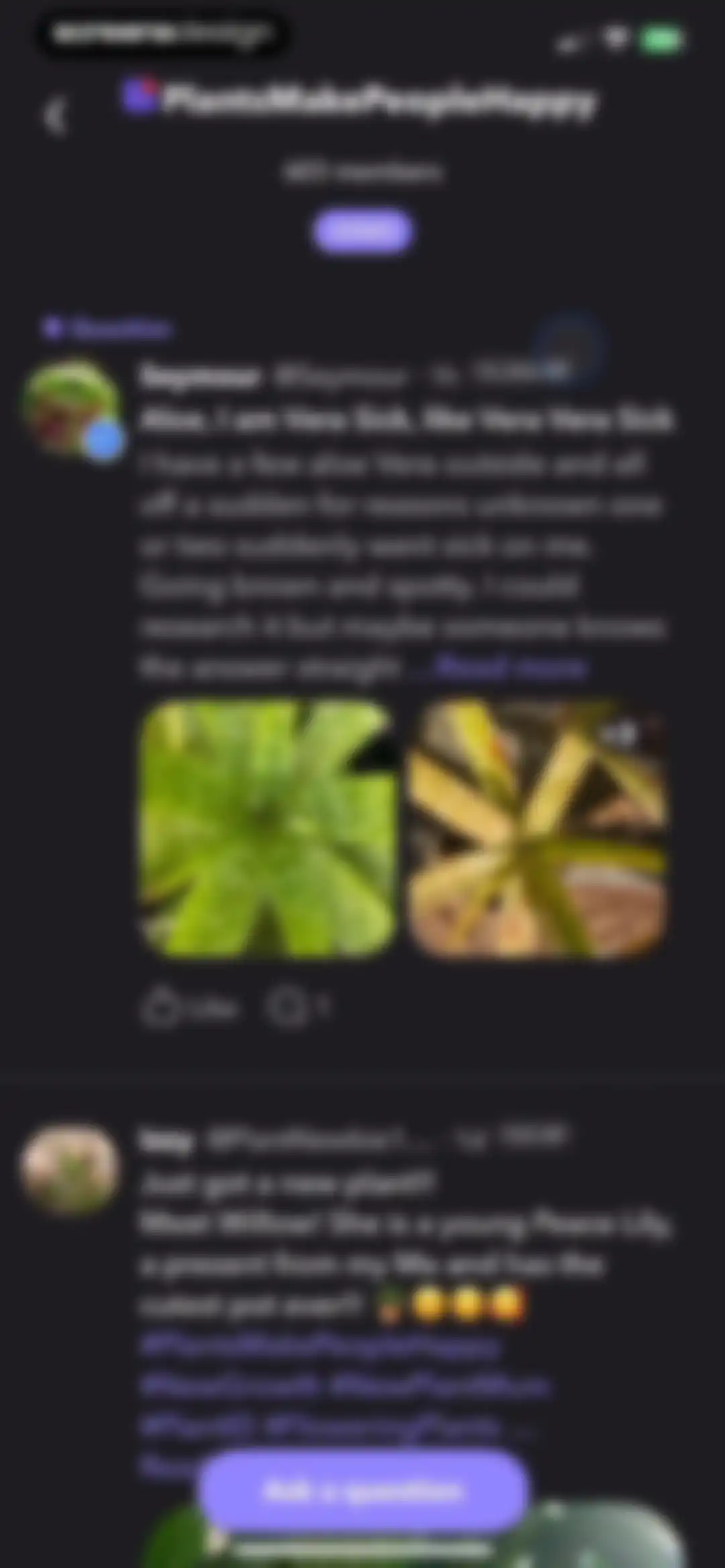 Greg: Plant Identifier & Care screen 60