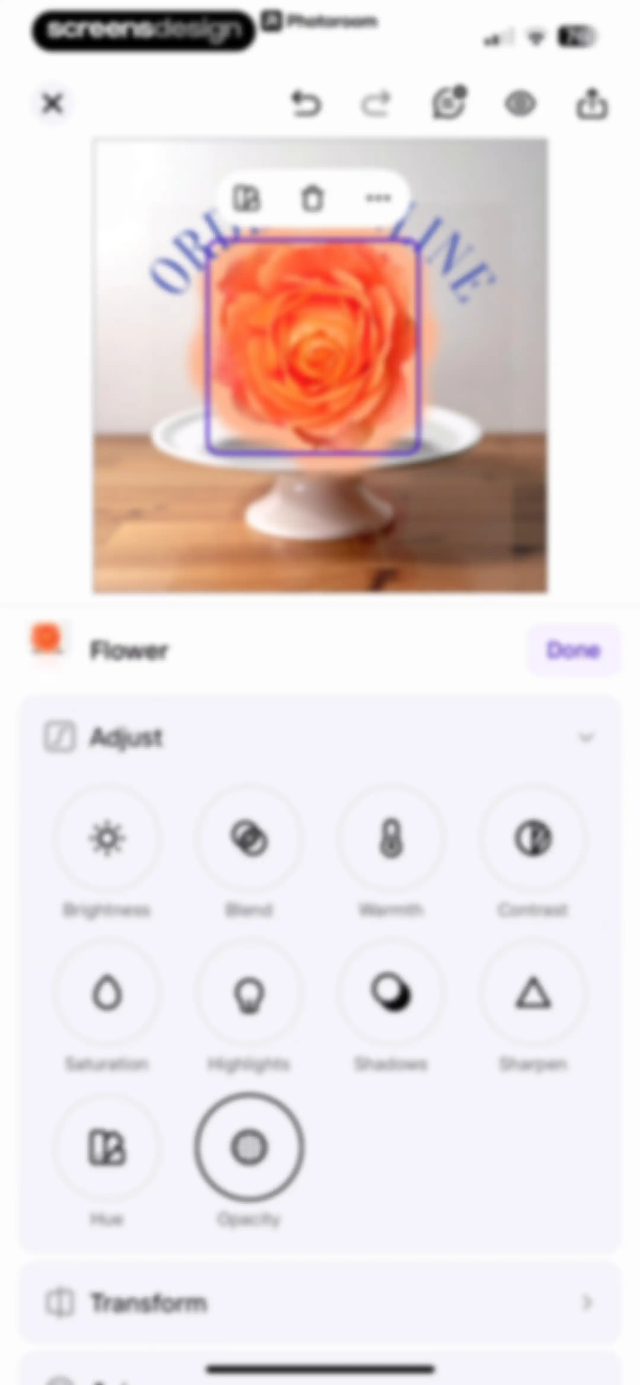 Photoroom: AI Photo Editor screen 79